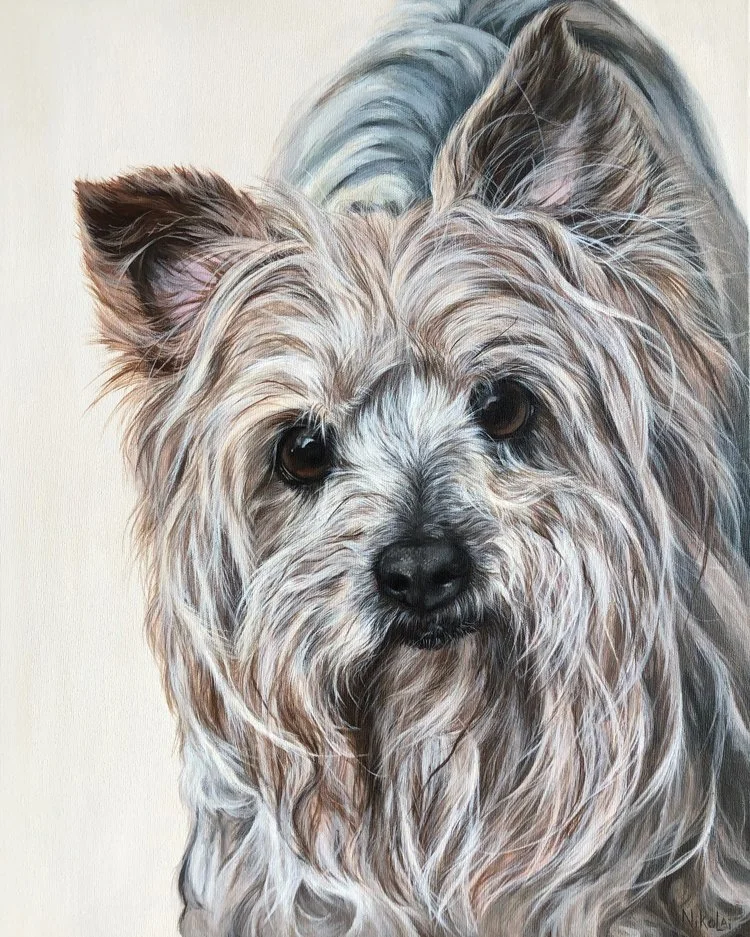  JOEY  |  Acrylic on gallery style canvas, 16 x 20 