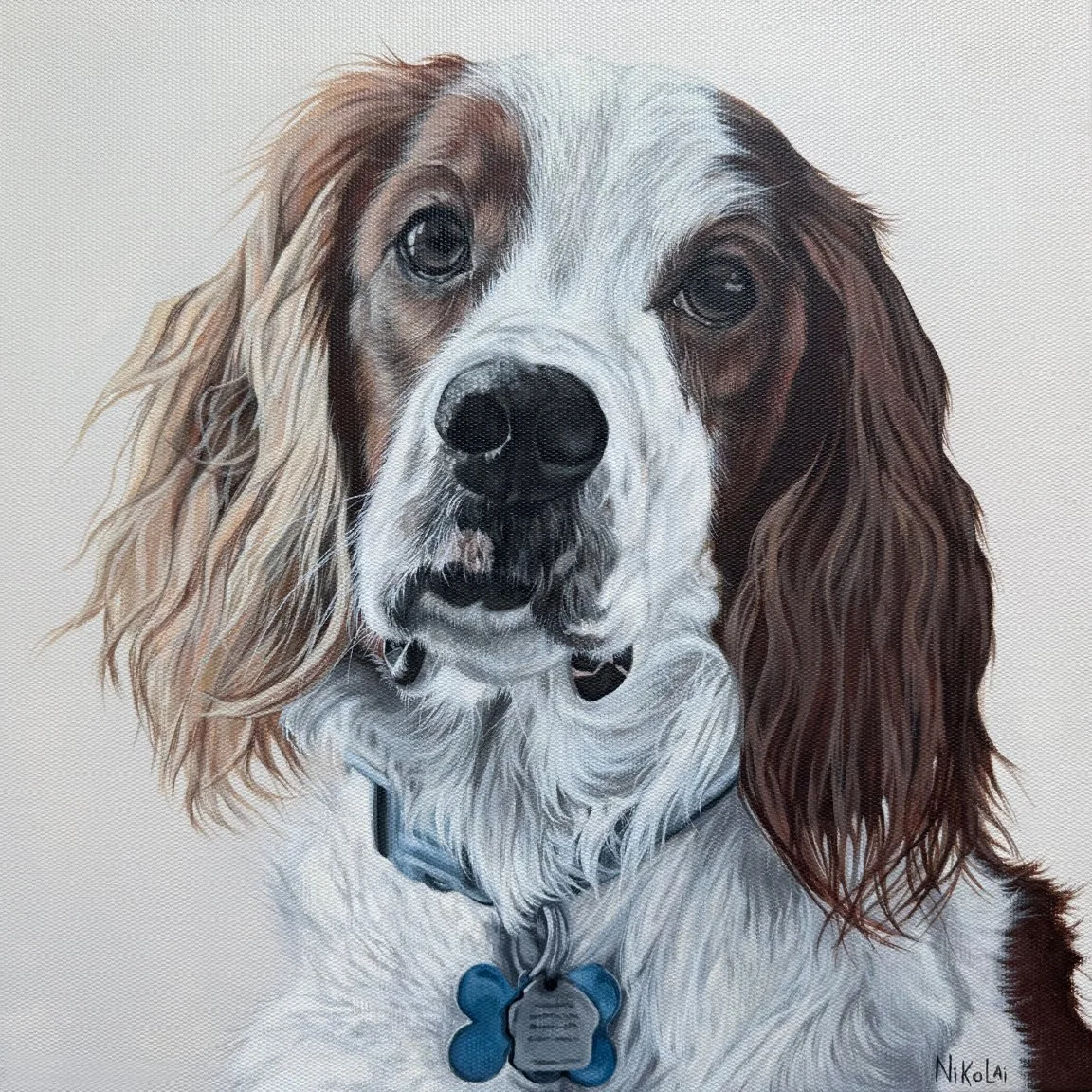 Custom realistic dog portrait of Irish Red and White Setter Clover by Ontario artist Carolyn Nikolai | Acrylic on gallery-wrapped canvas, 16 x 16