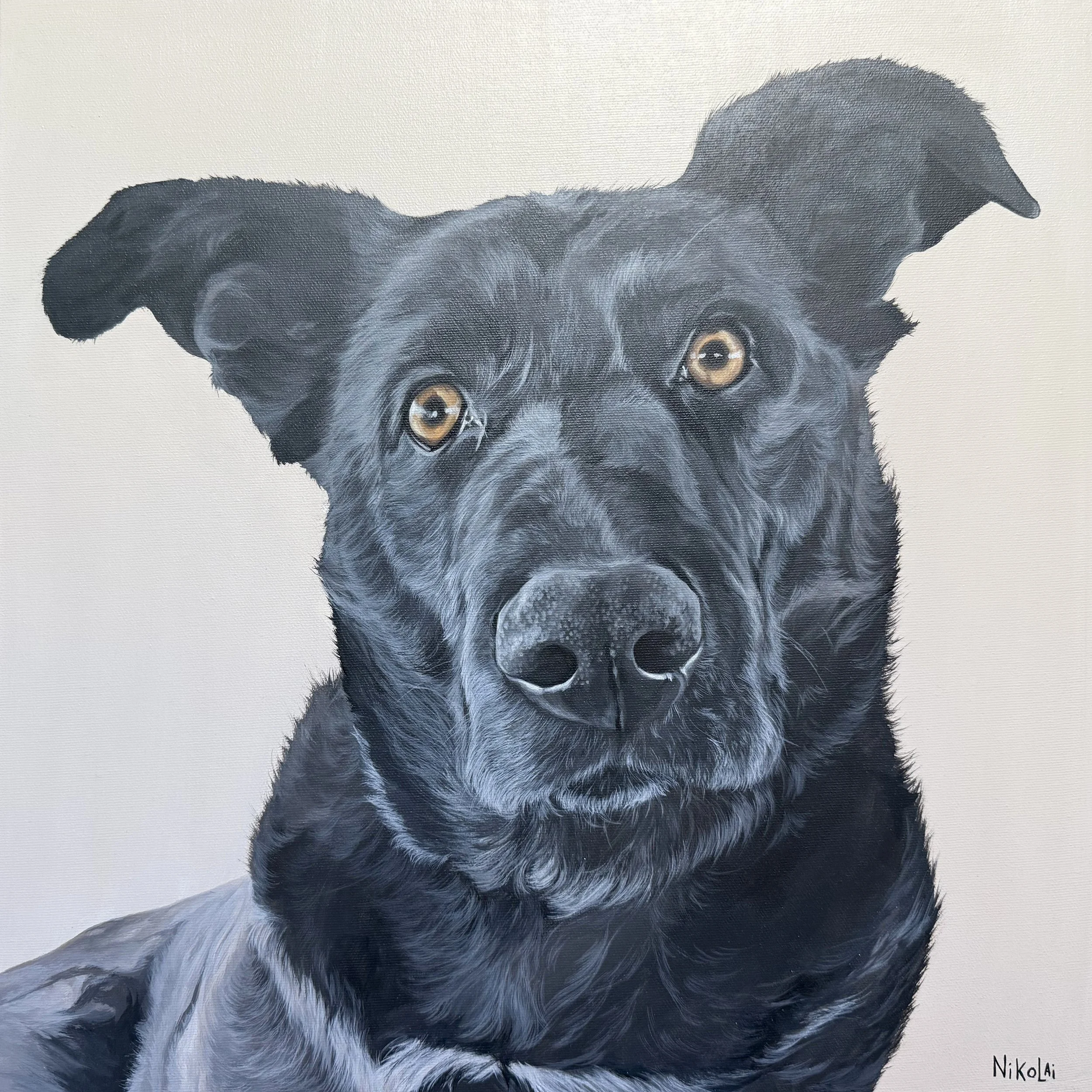 Custom realistic dog portrait of Black Labrador mix by Ontario artist Carolyn Nikolai | Acrylic on gallery-wrapped canvas, 16 x 16