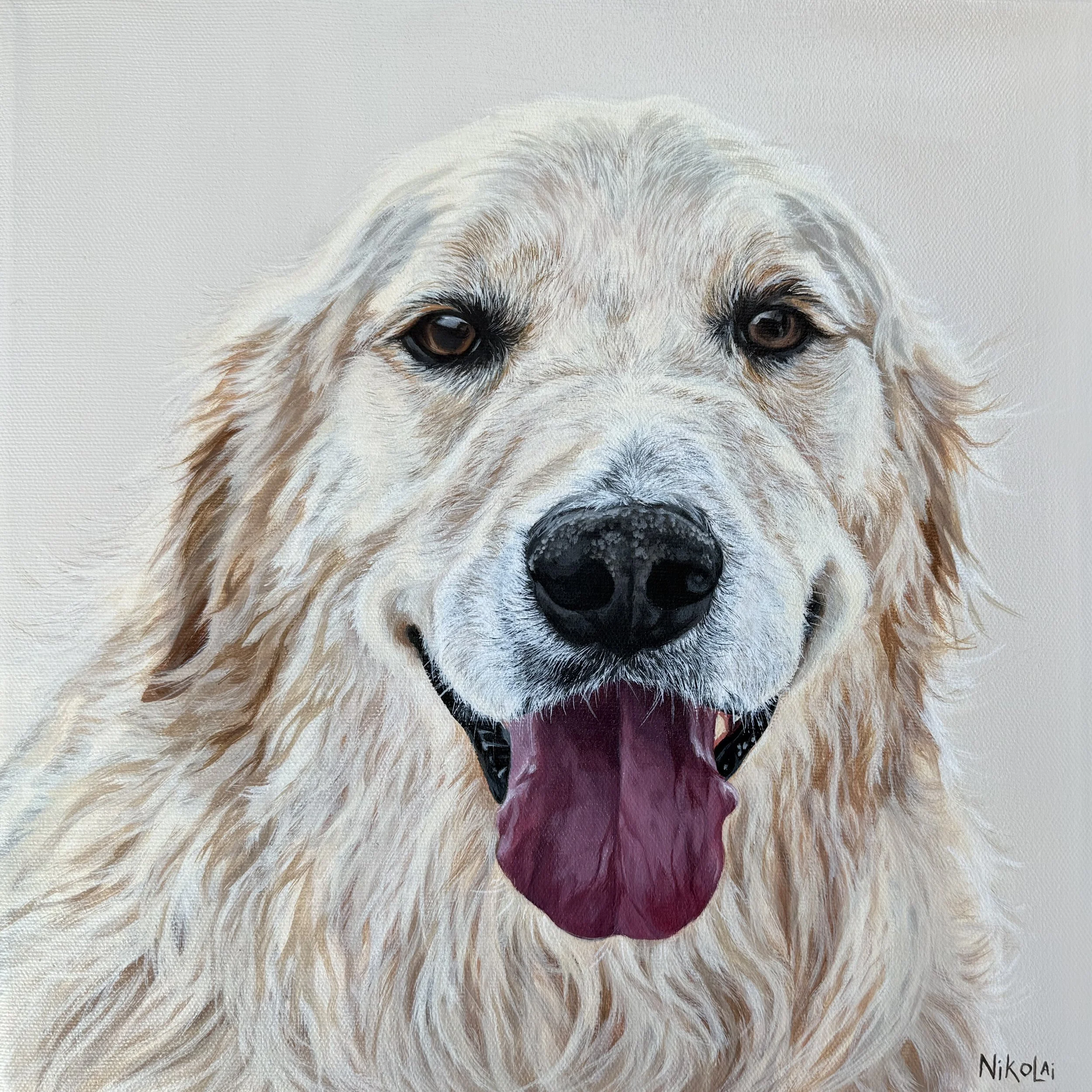  JASPER | Acrylic on gallery style canvas, 12 x 12 