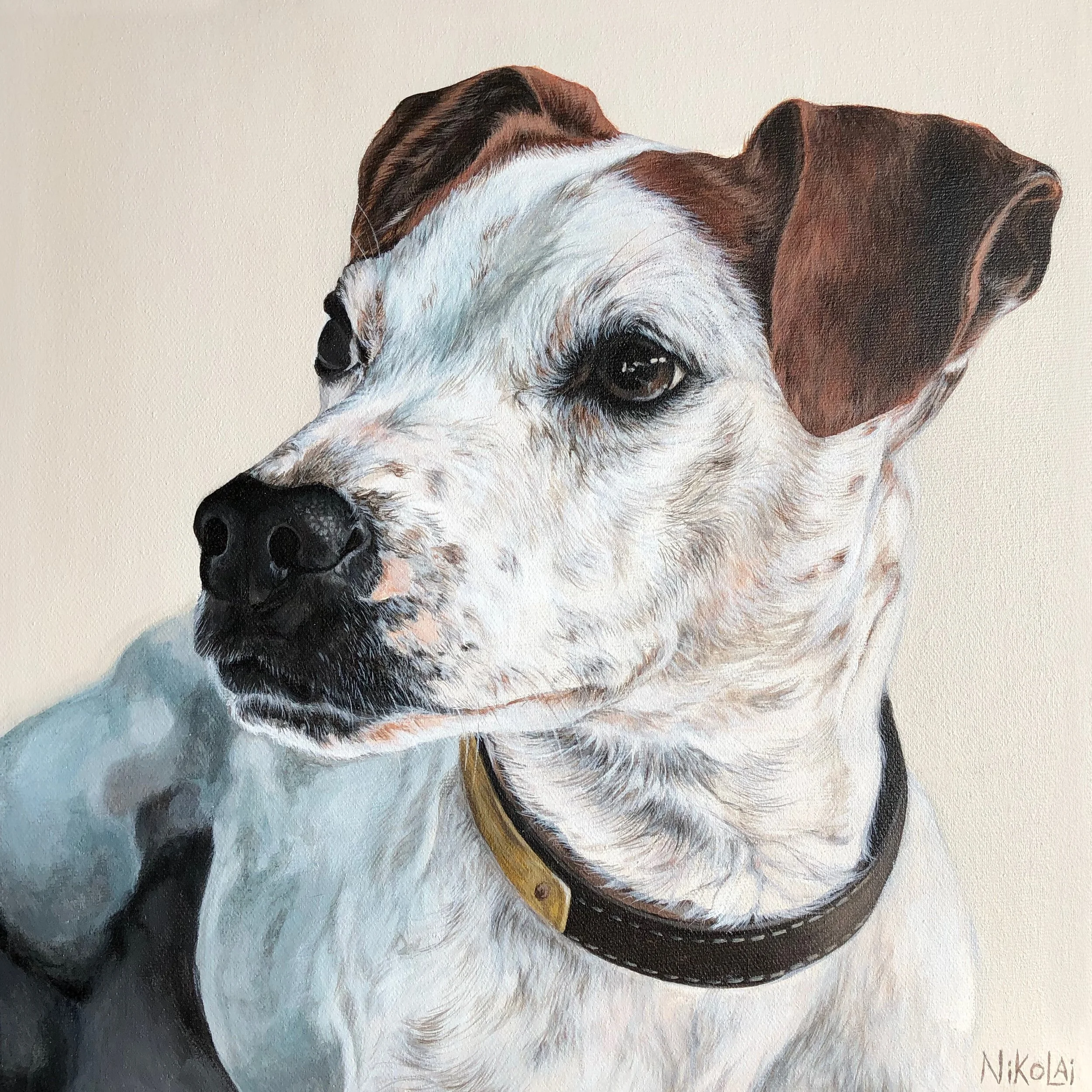  RUPERT | Acrylic on gallery style canvas, 12 x 12 