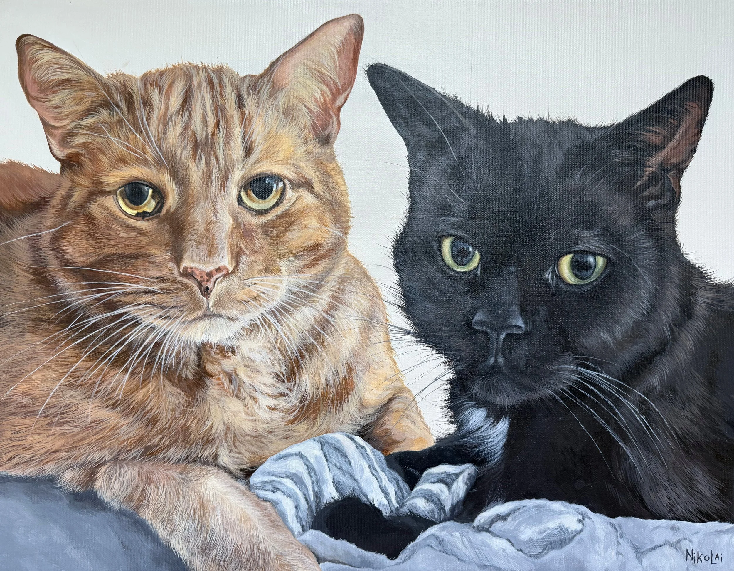  OTIS + MARSHALL  |  Acrylic on gallery style canvas, 14 x 18 