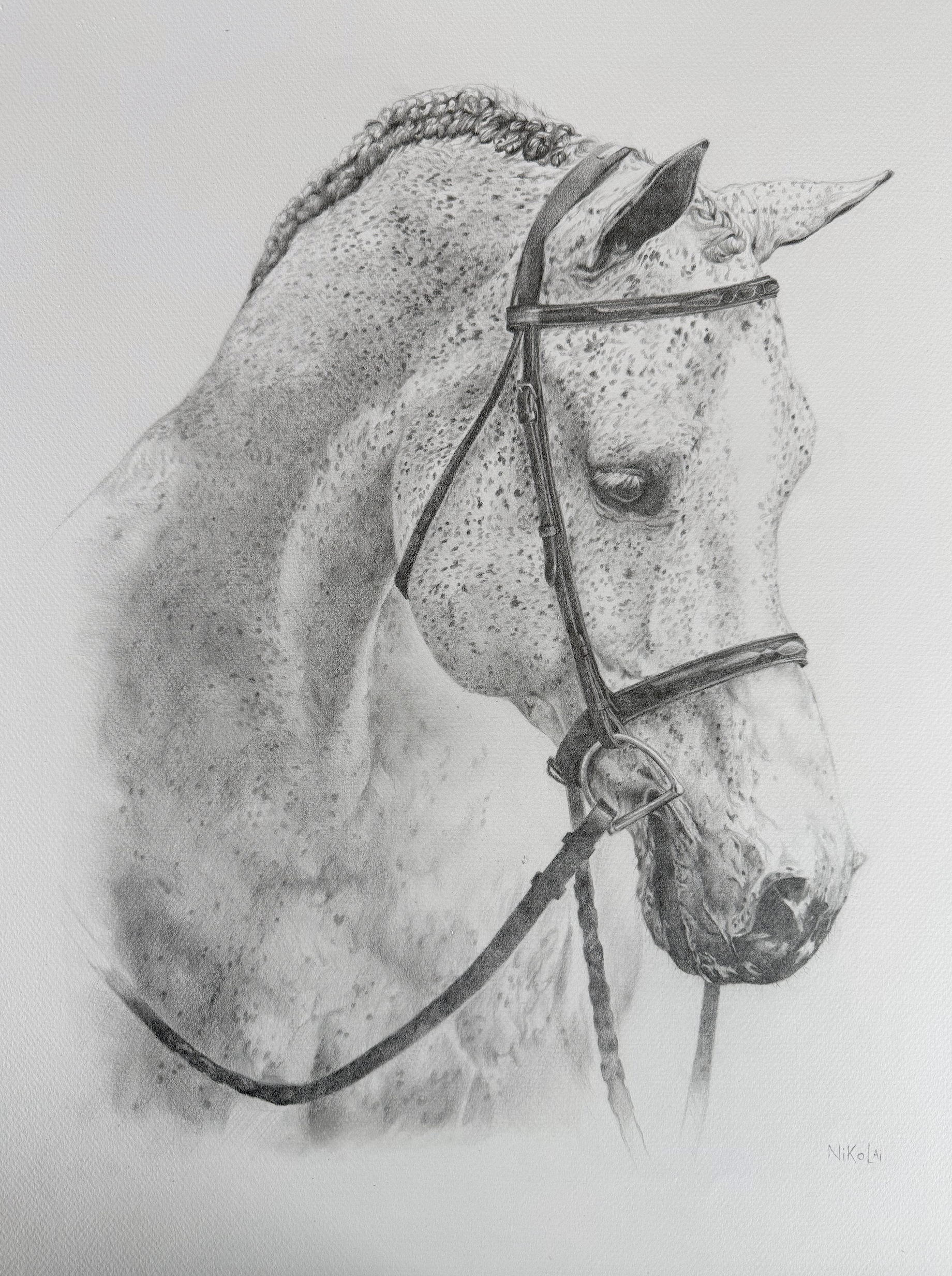 Custom realistic horse drawing entitled Delphine by Canadian artist Carolyn Nikolai | Graphite on Canson paper, sold.