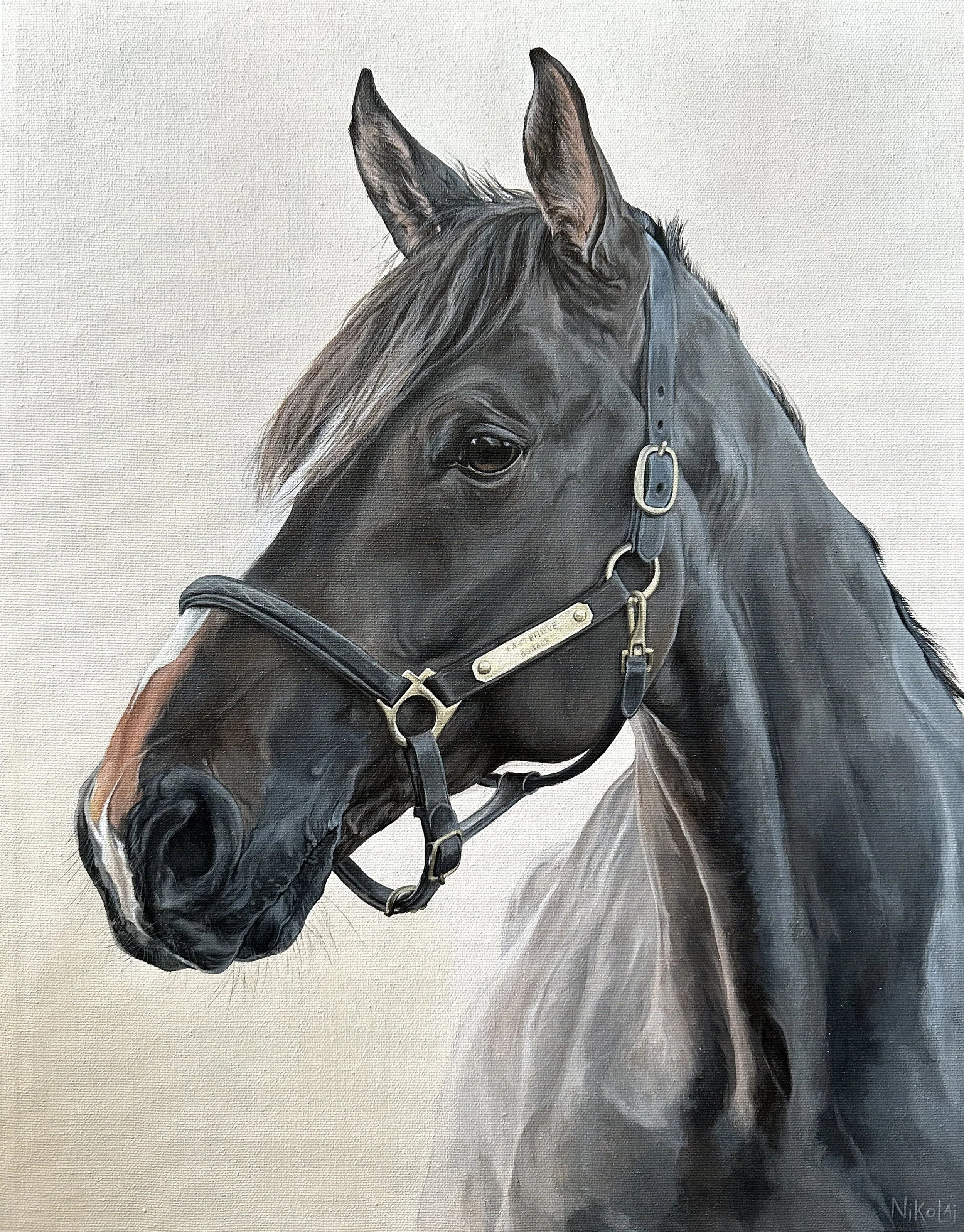  CAN'T BELIEVE  |  Acrylic on gallery style canvas, 14 x 18  