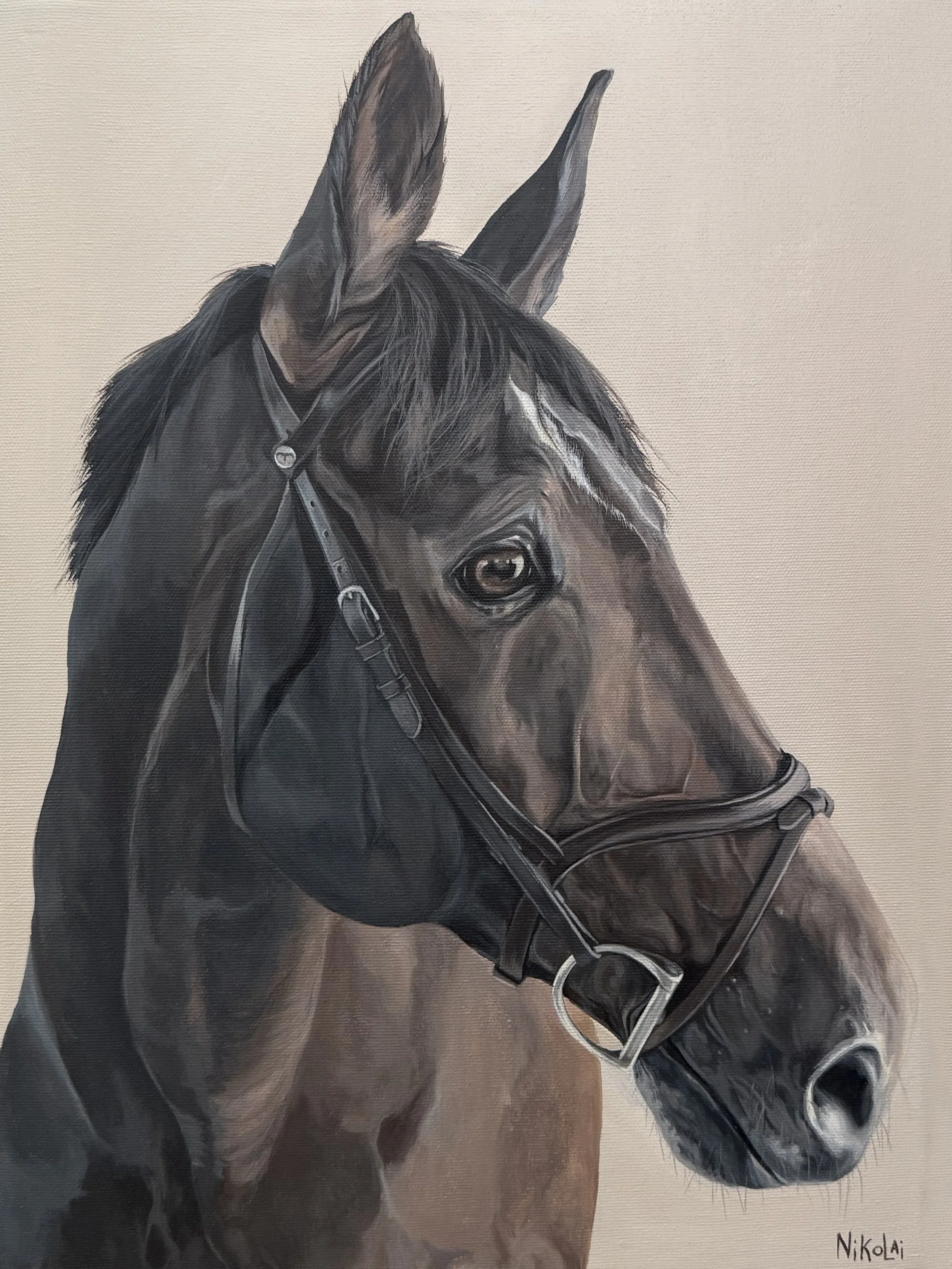  MARTY| Acrylic on gallery style canvas, 12 x 16 