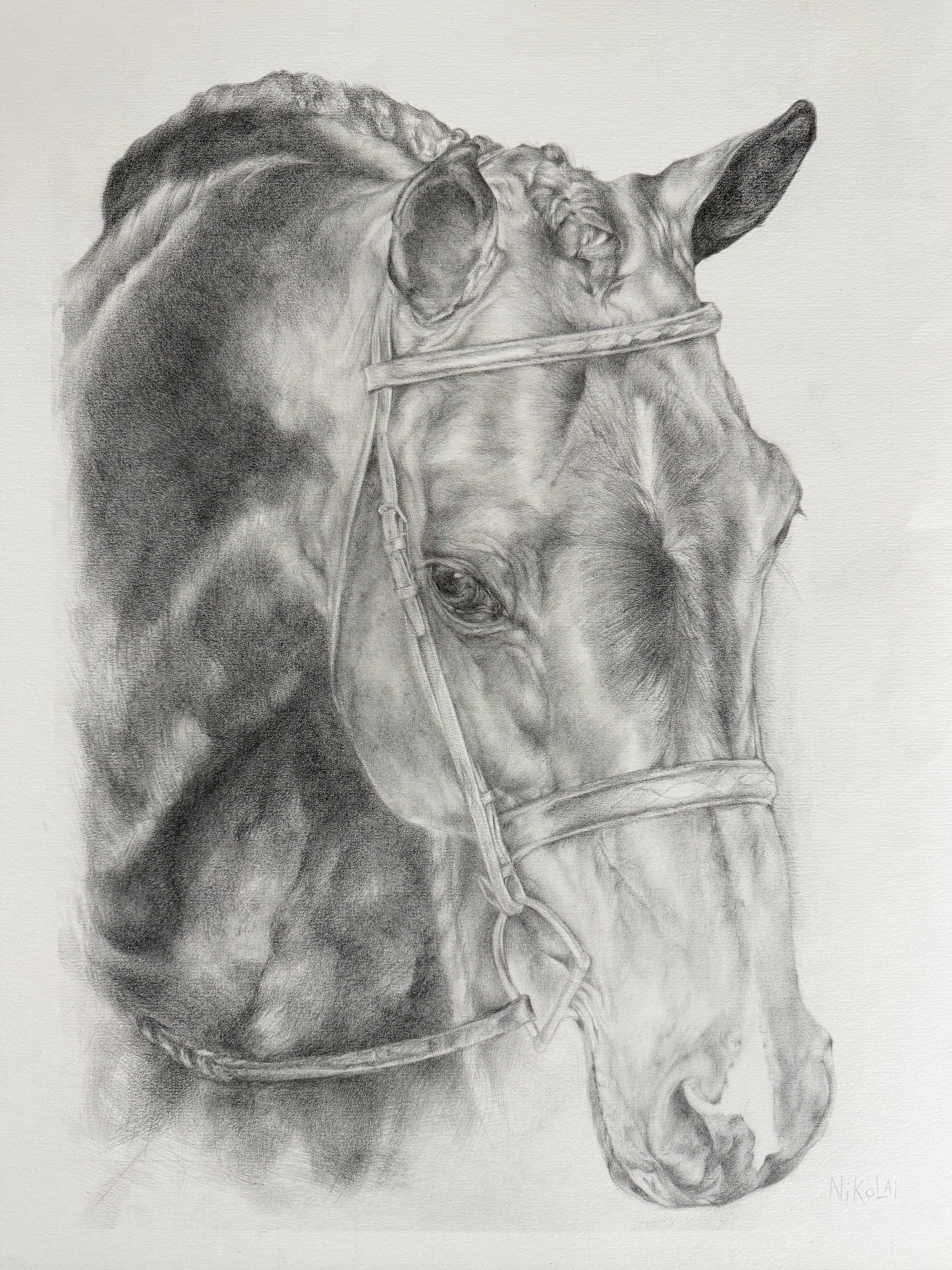 Custom realistic horse drawing entitled Alouette by Canadian artist Carolyn Nikolai | Graphite on Canson paper,  for sale