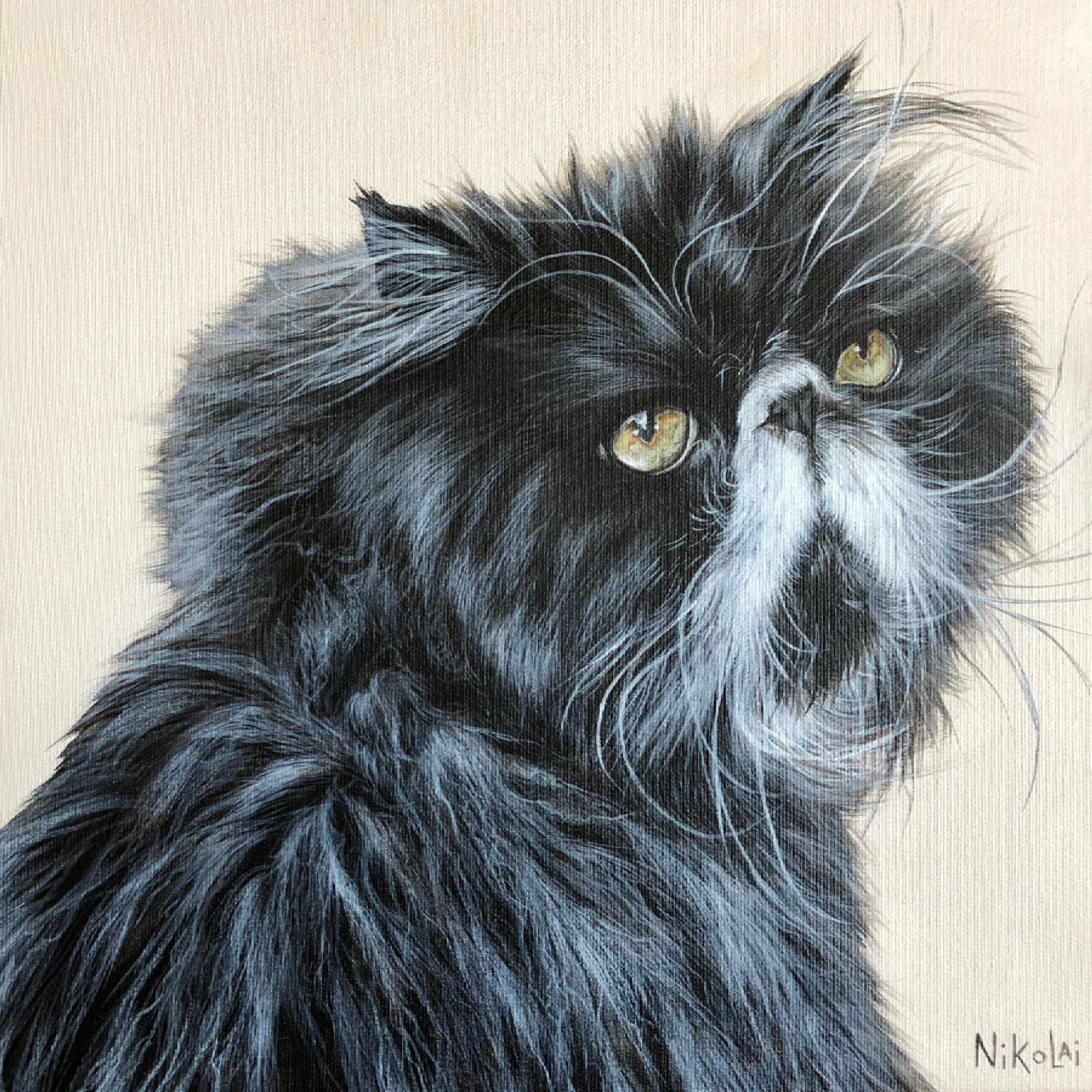  BUDDY | Acrylic on gallery style canvas, 12 x 12 