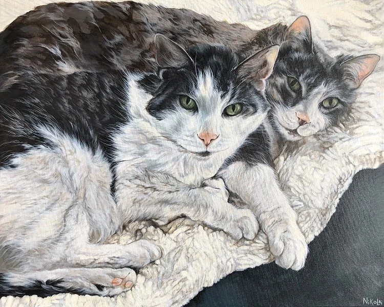 CATS | Acrylic on gallery style canvas, 16 x 20 