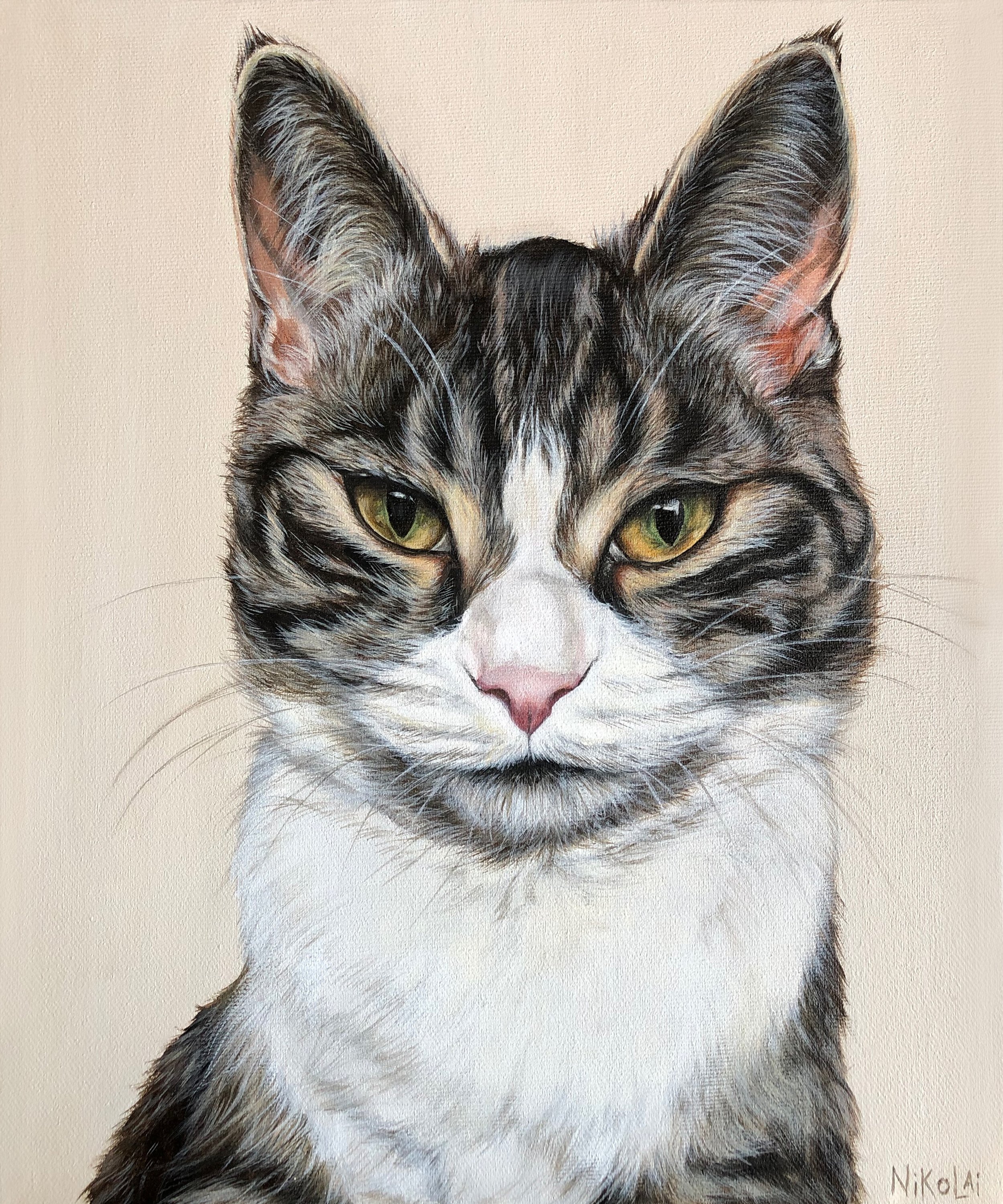 Cat portrait
