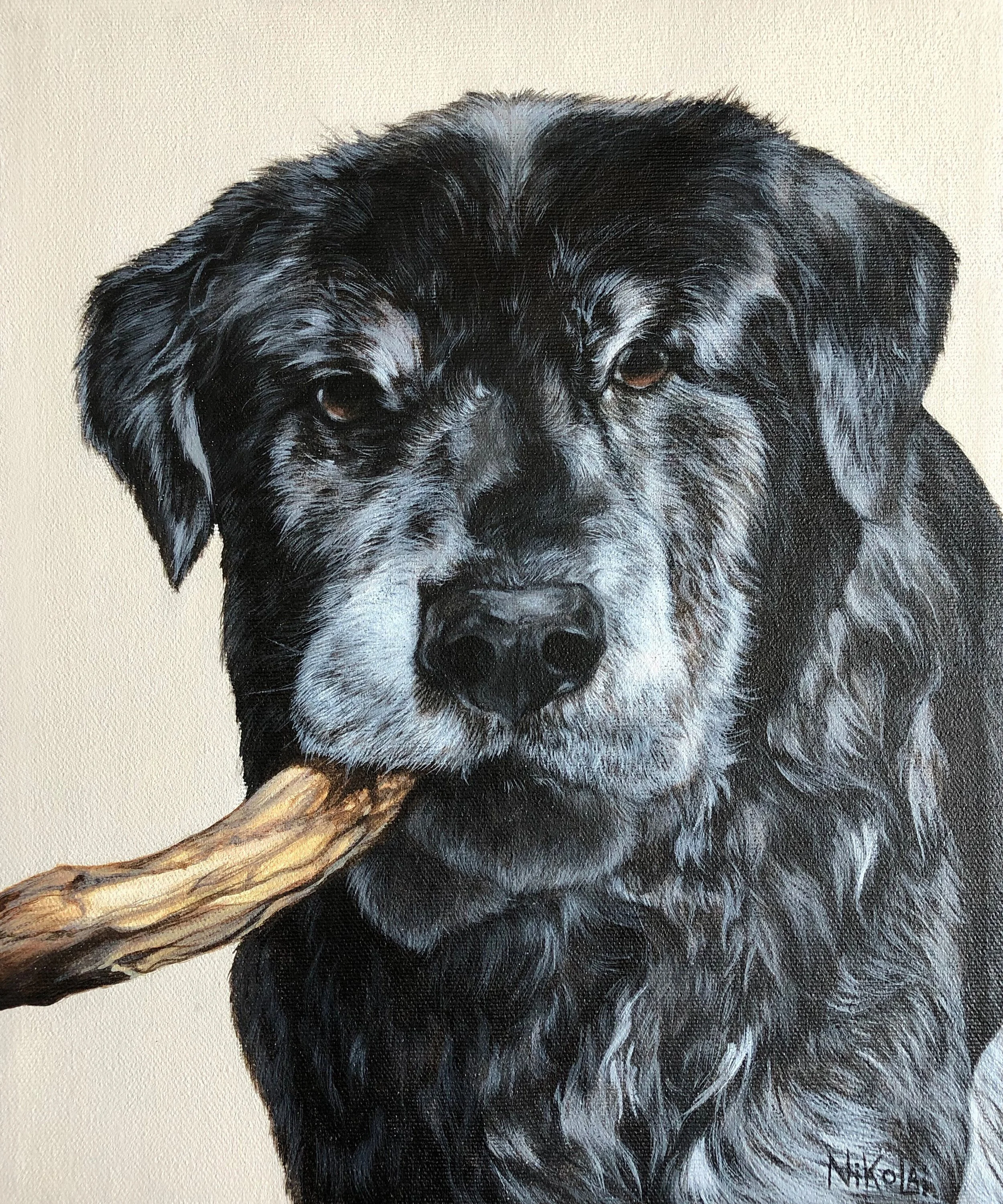  TUGGS | Acrylic on gallery style canvas, 10 x 12 