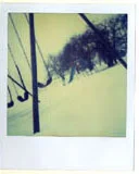 polaroid_1.jpg