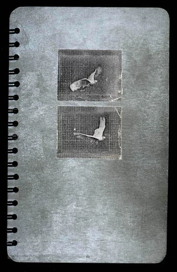 book013_cover-1.jpg