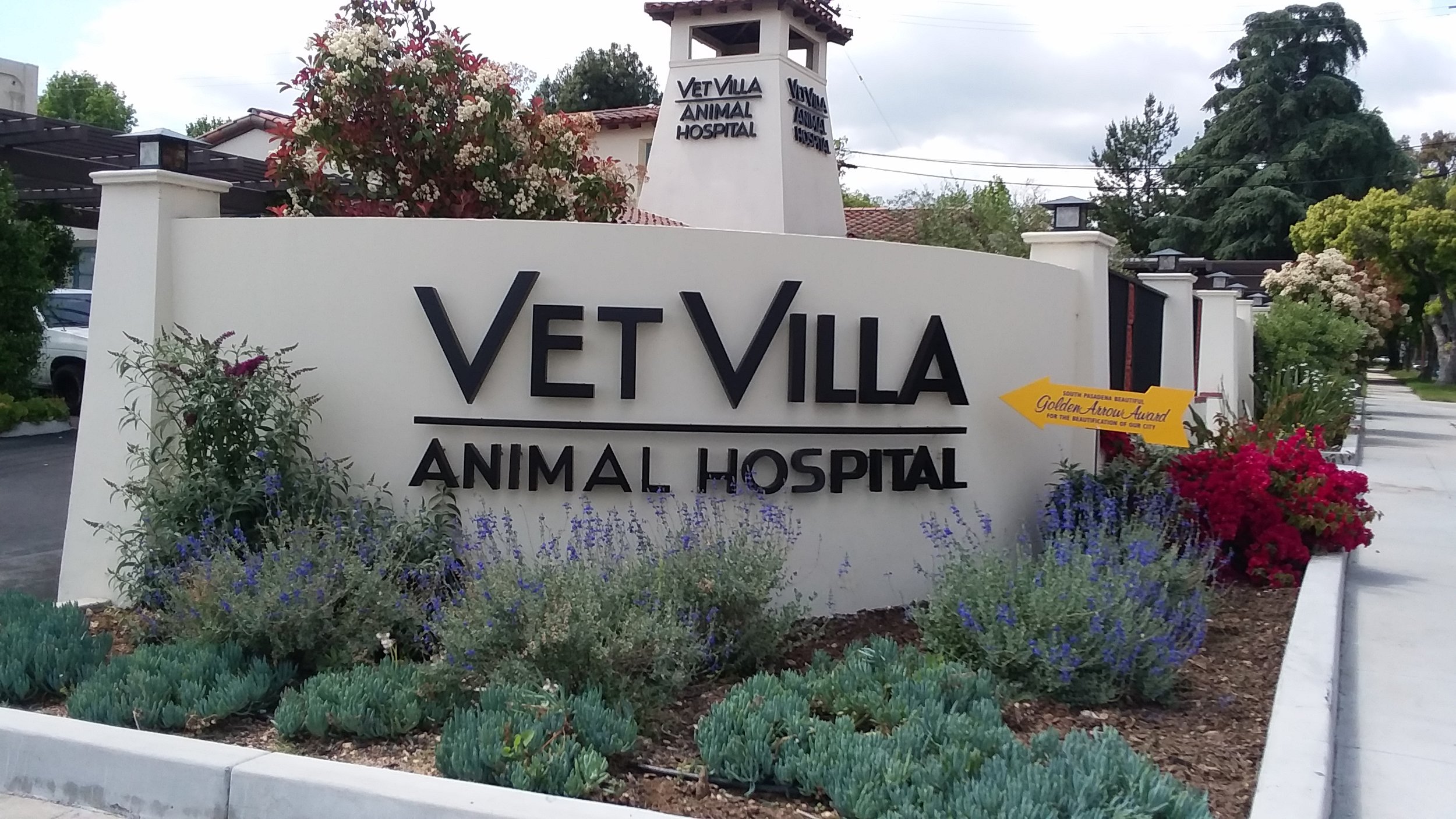 Vet Villa Animal Hospital.jpg