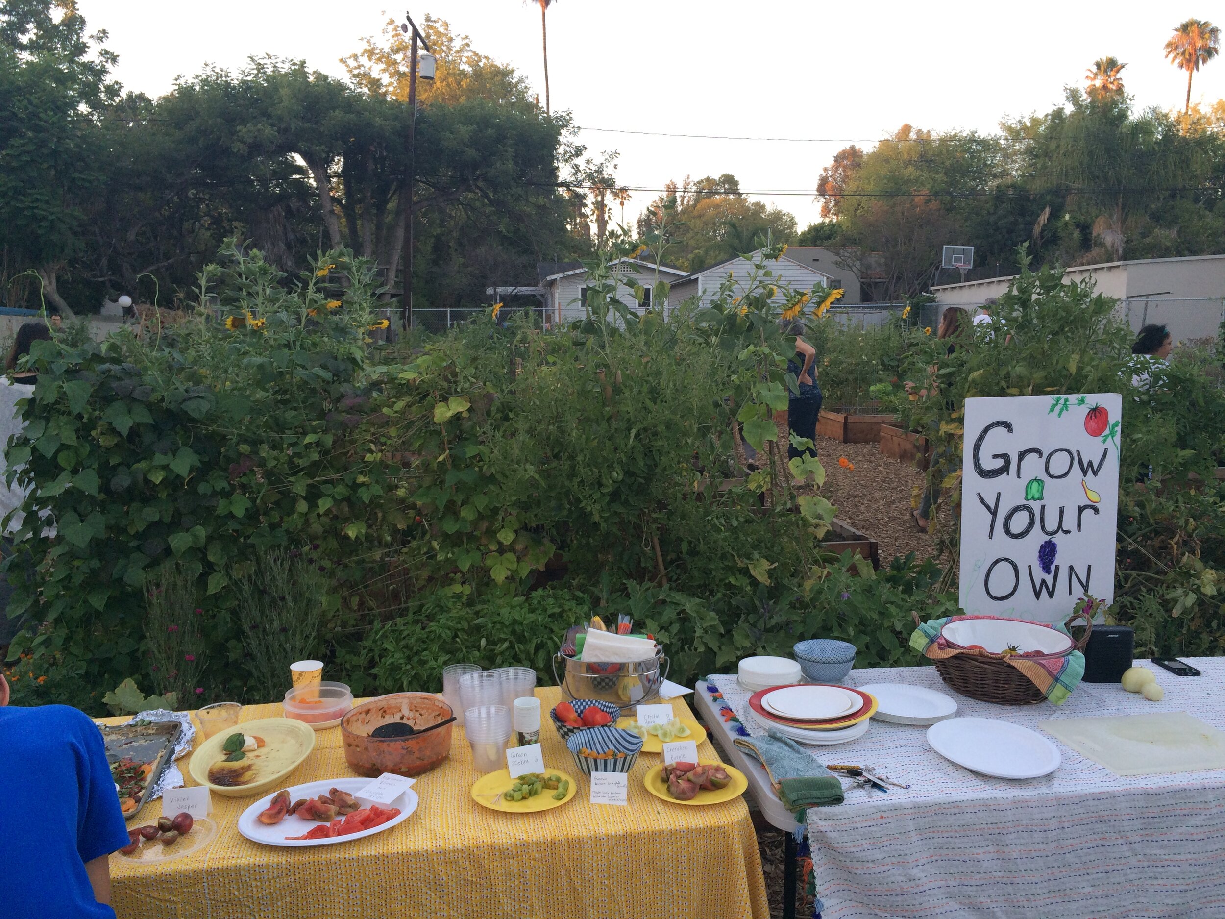 Community Garden2.jpeg