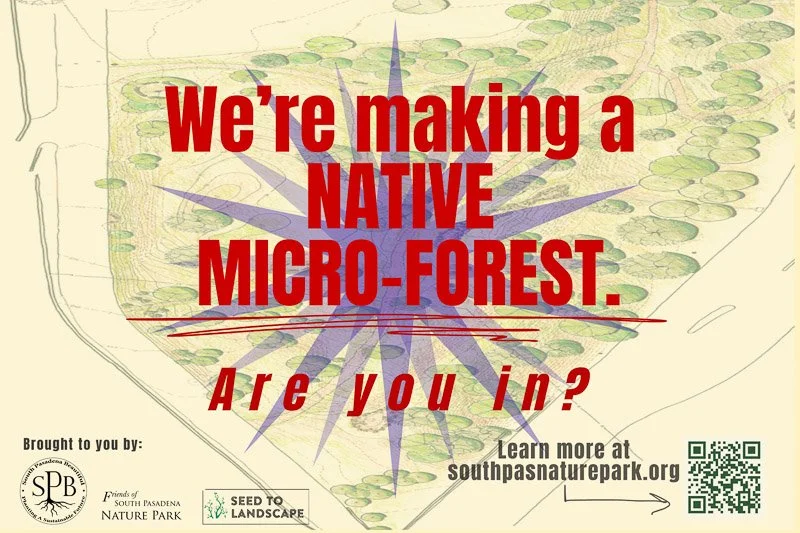 Nature Park Micro-forest Workshop