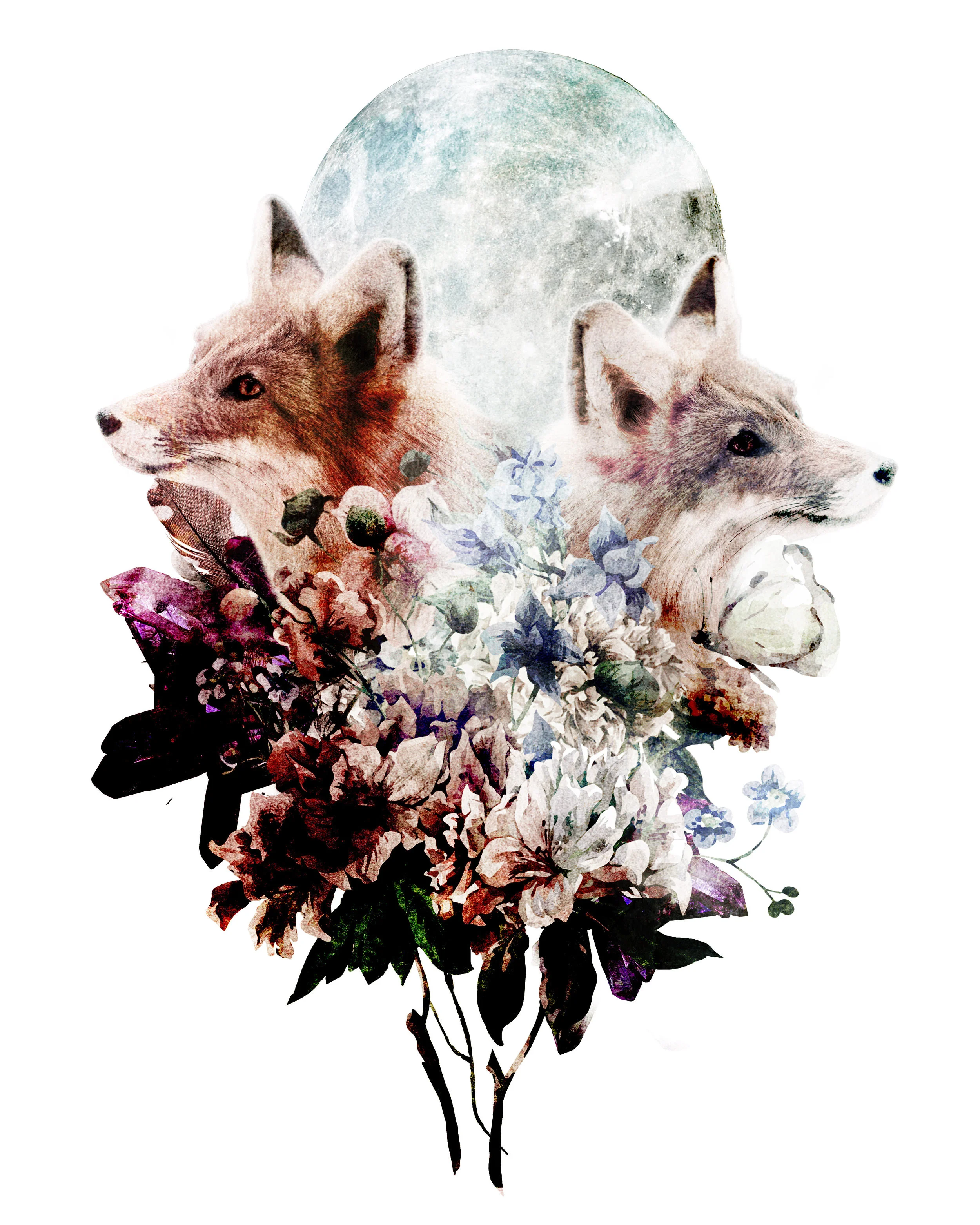 FOXES.jpg