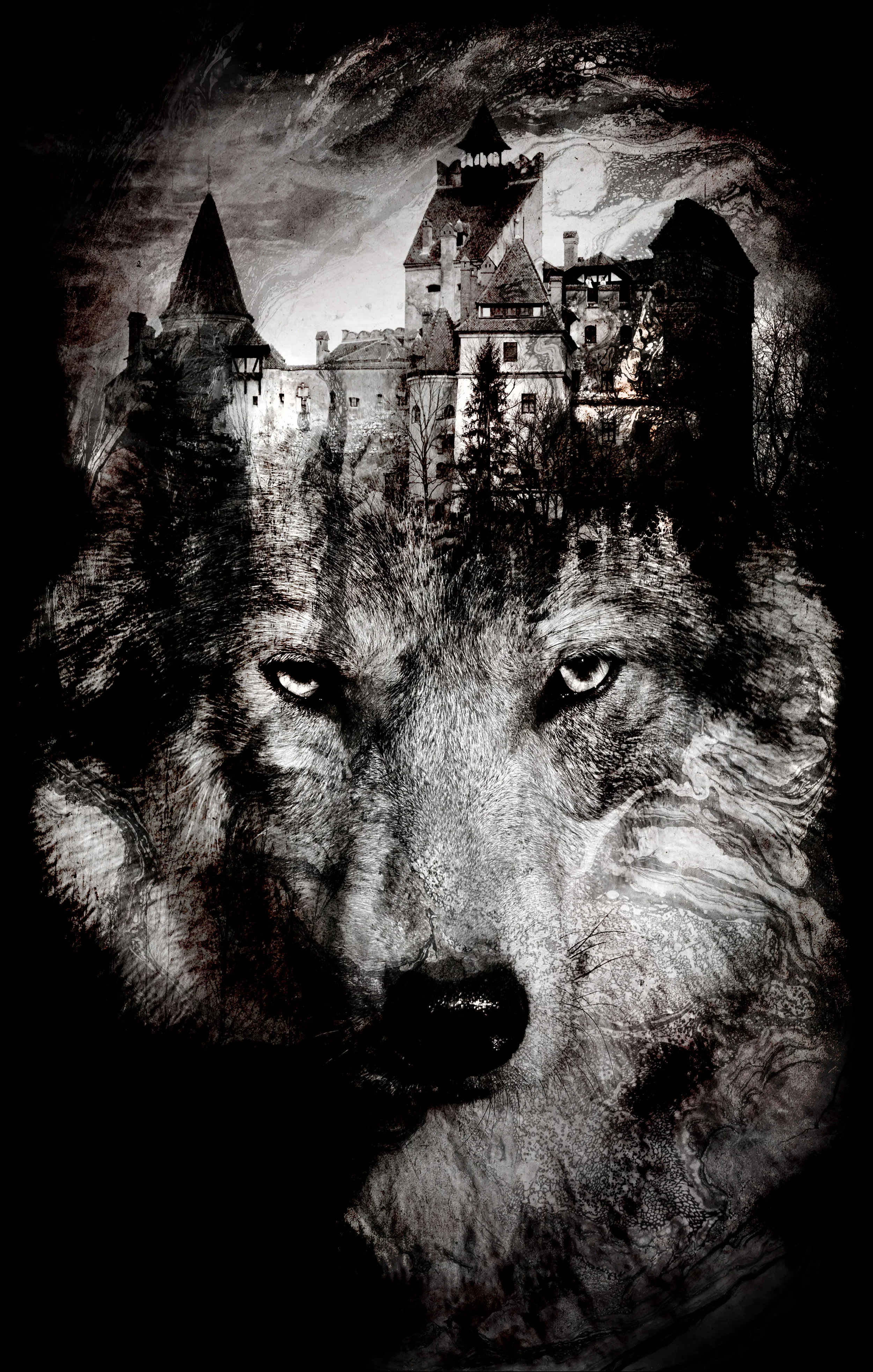 wolf.jpg