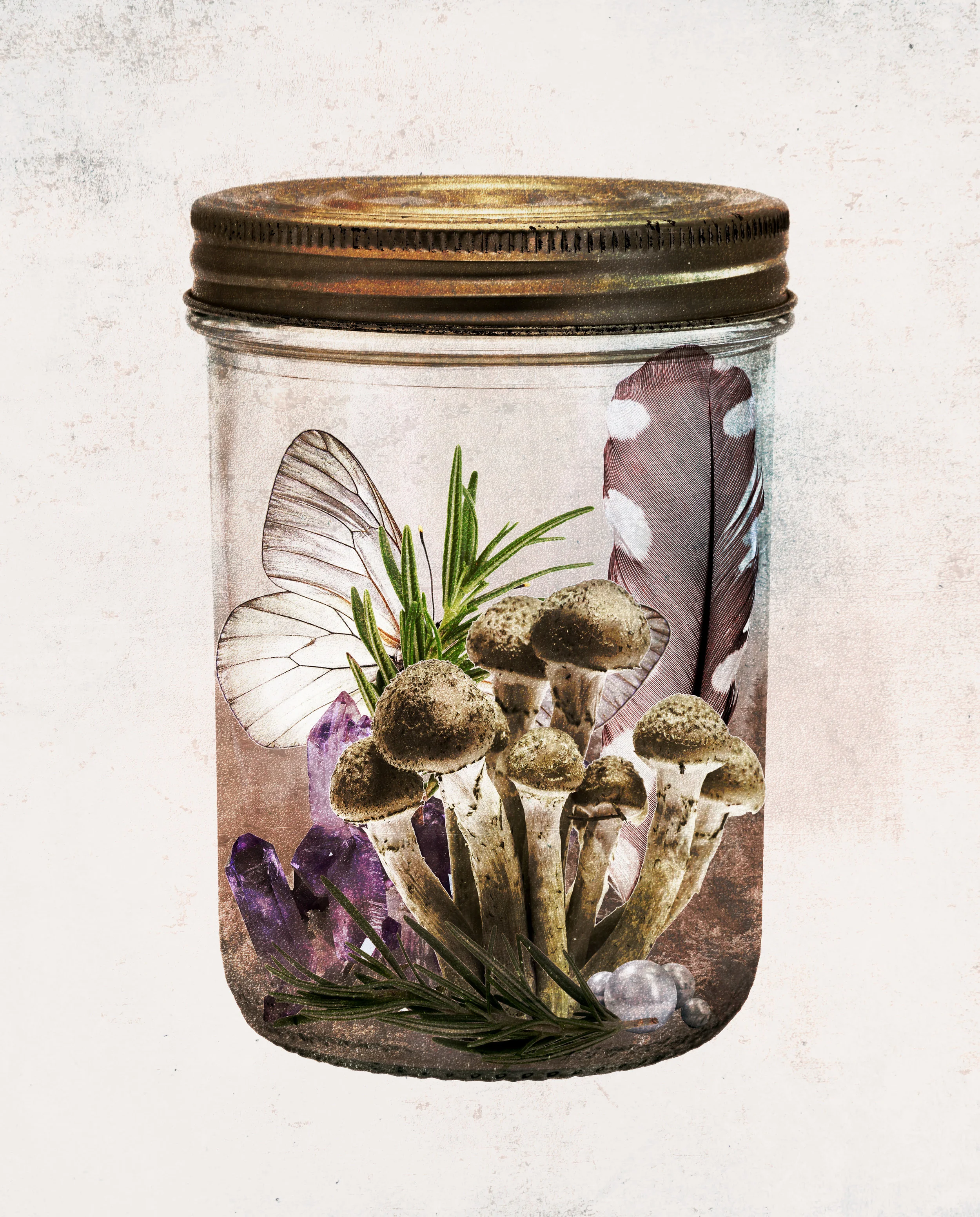 jars.jpg