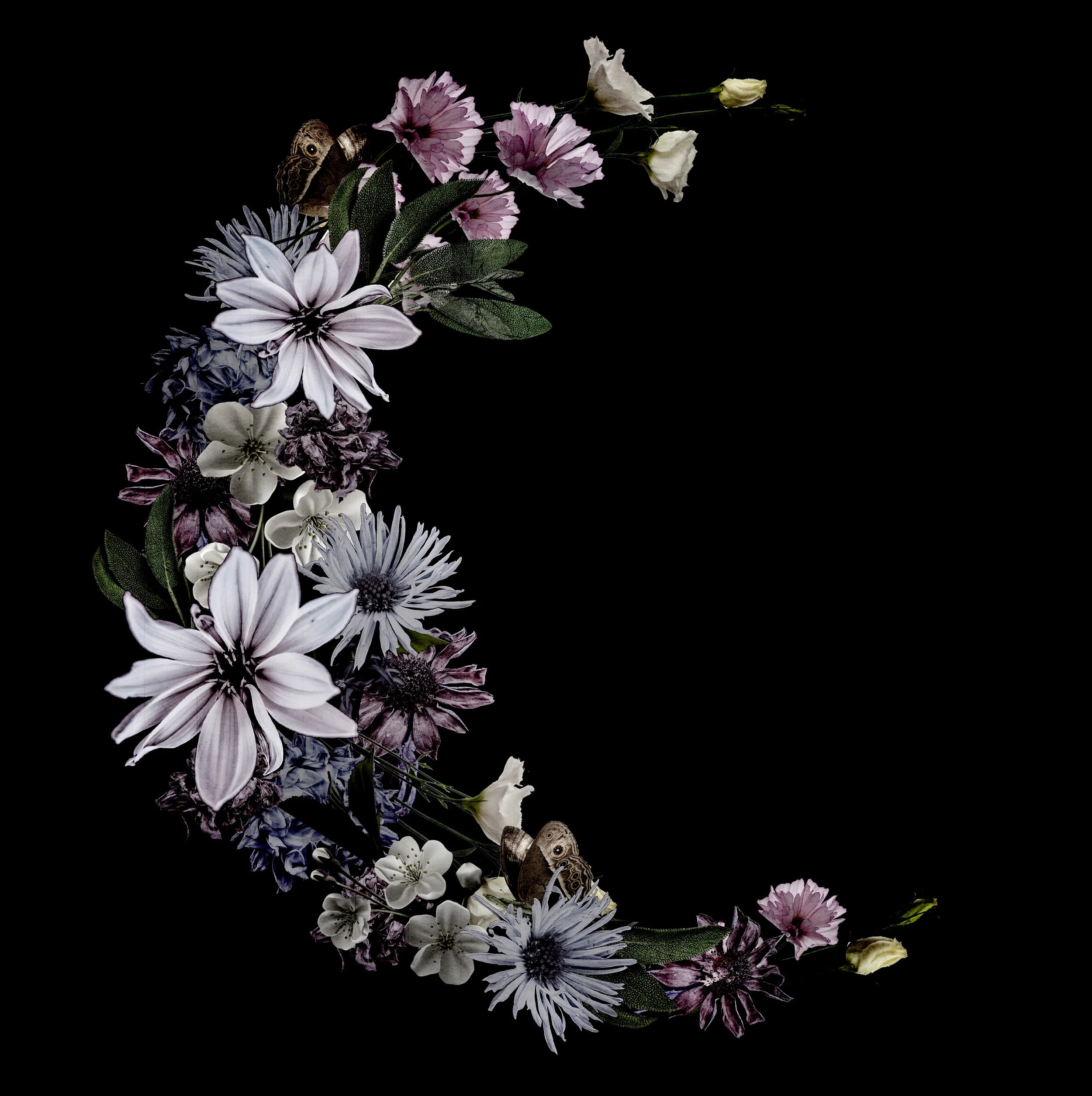 moonflower bag.jpg