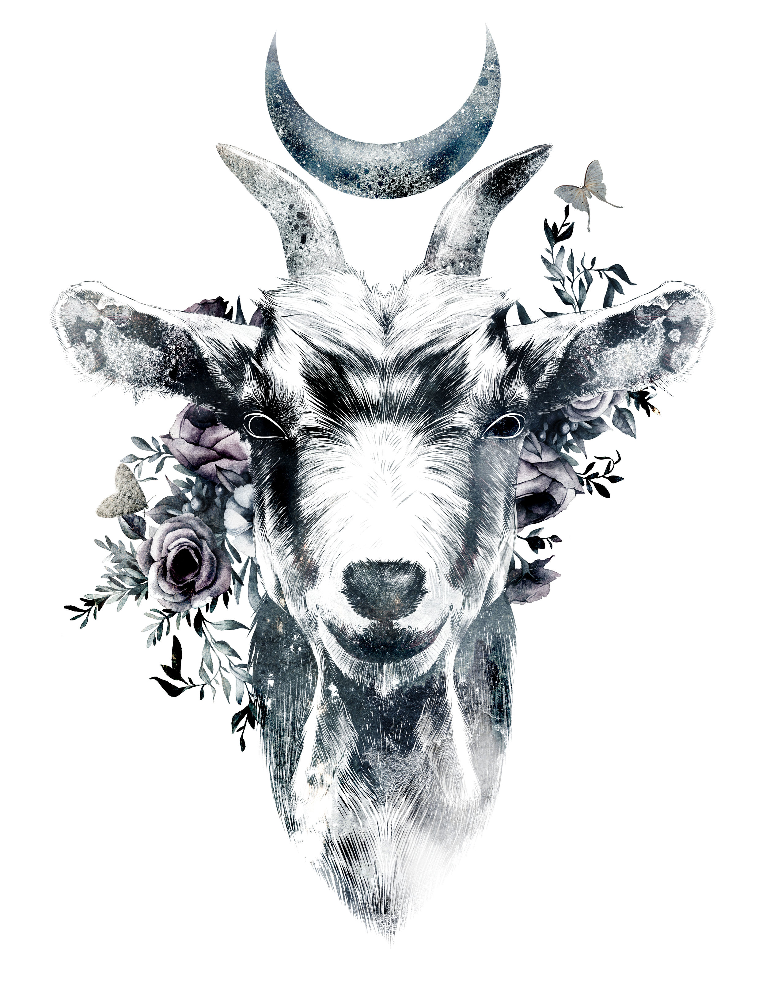 black phillip.jpg