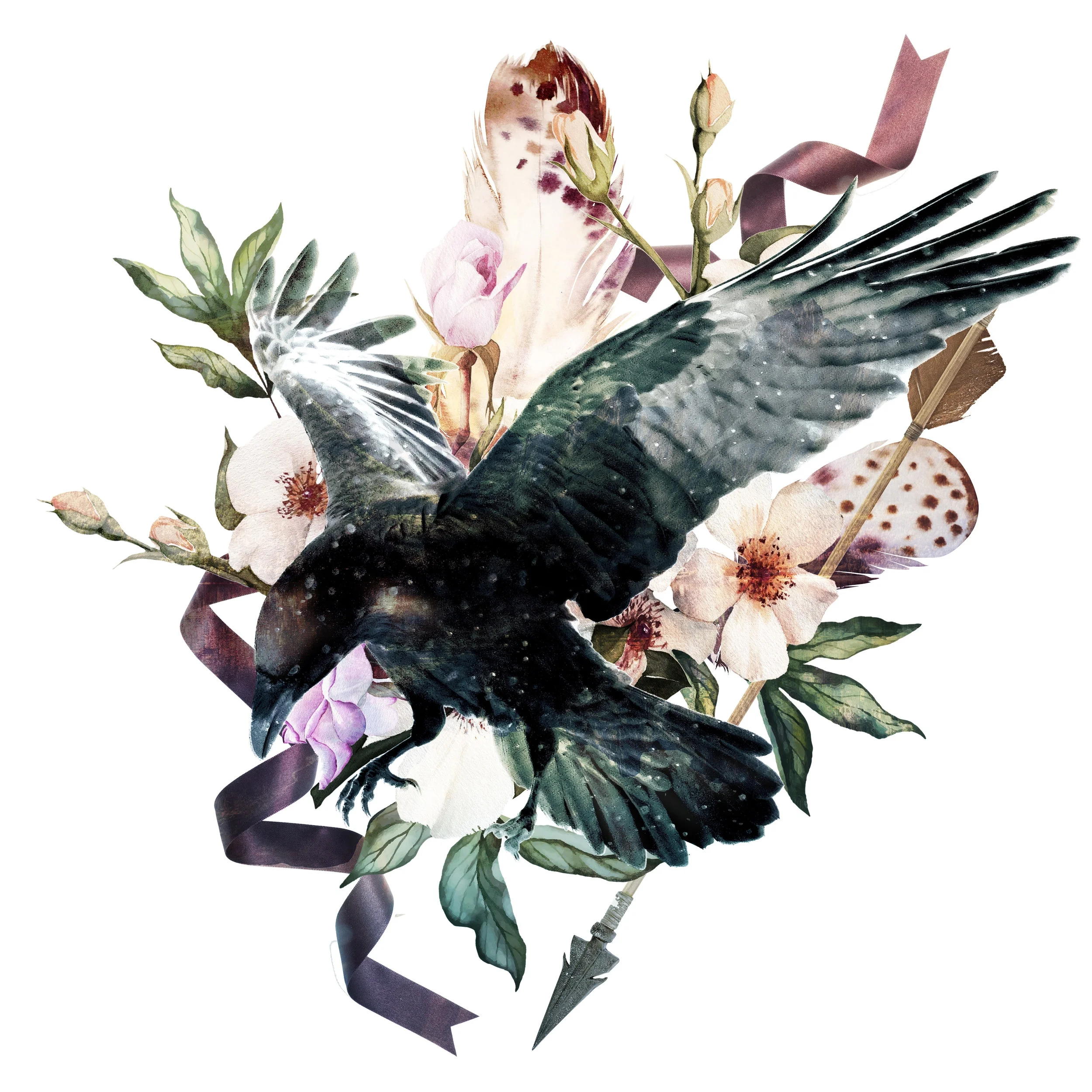 raven.jpg