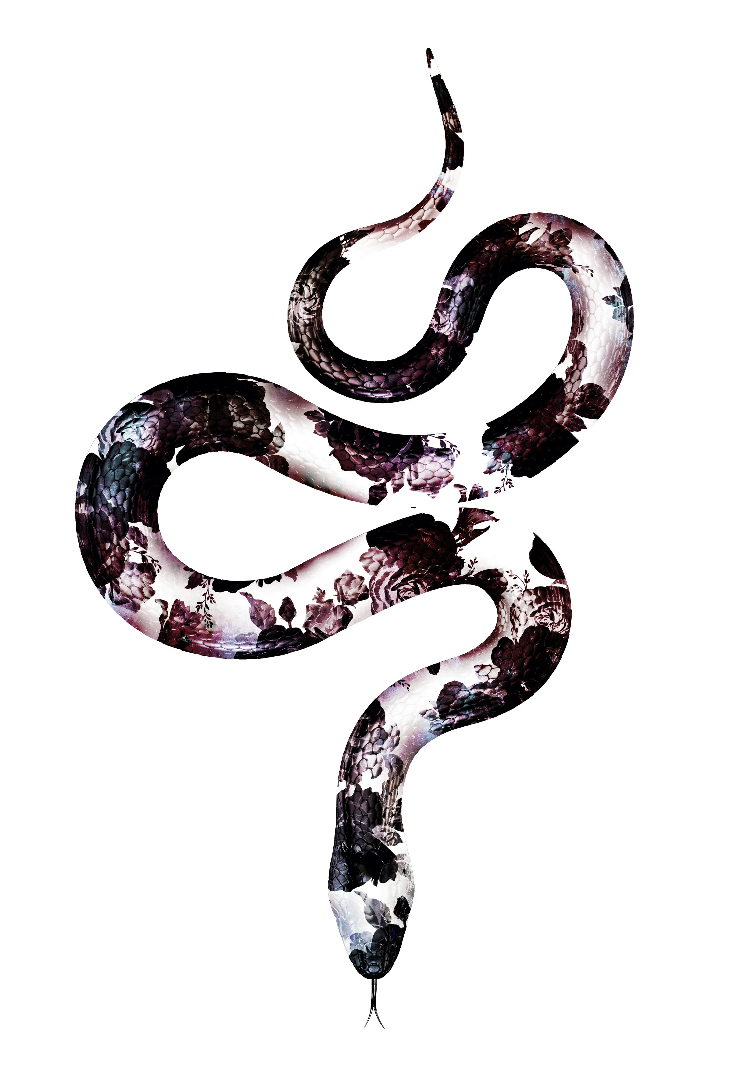 snake.ti.jpg