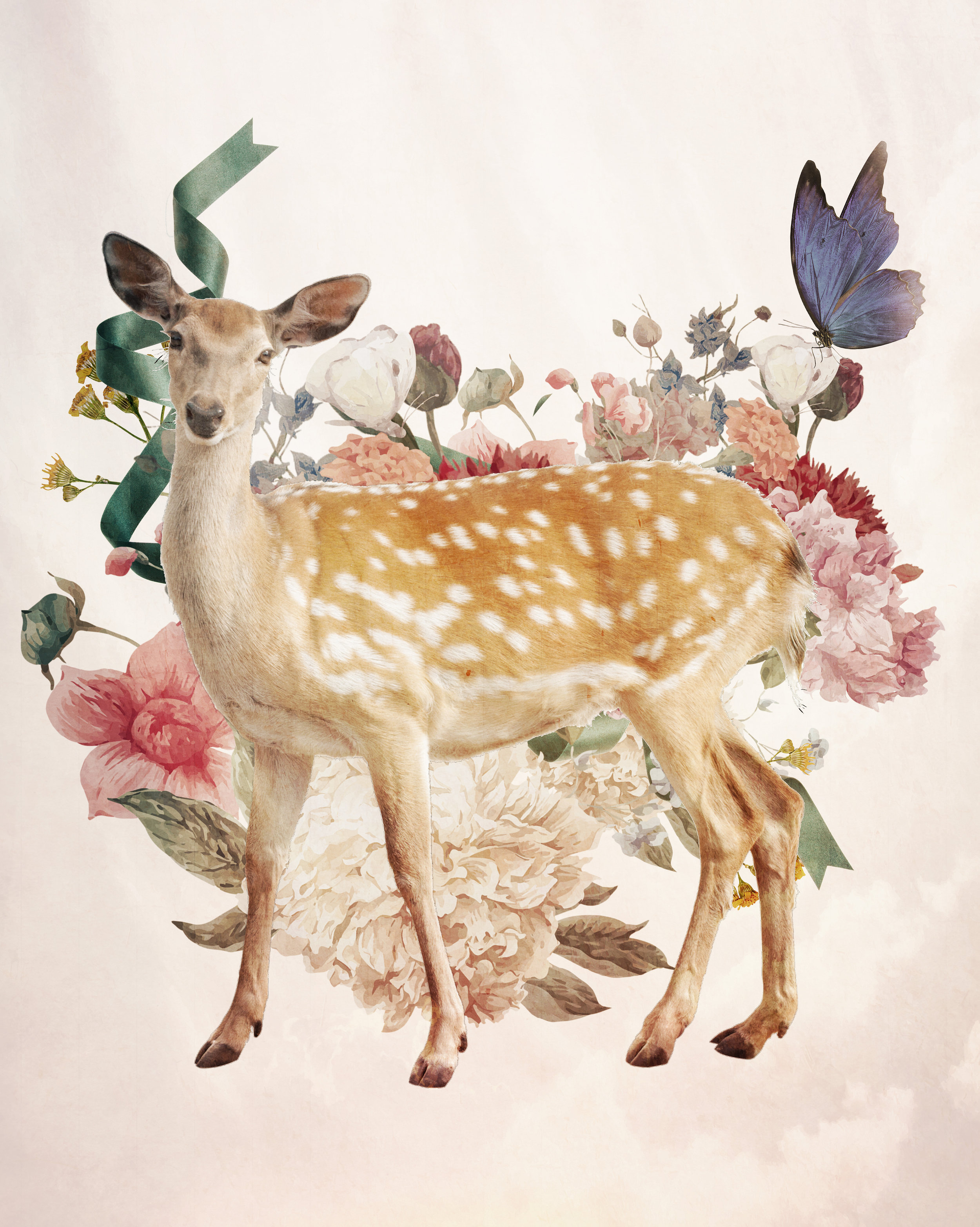 deers.jpg