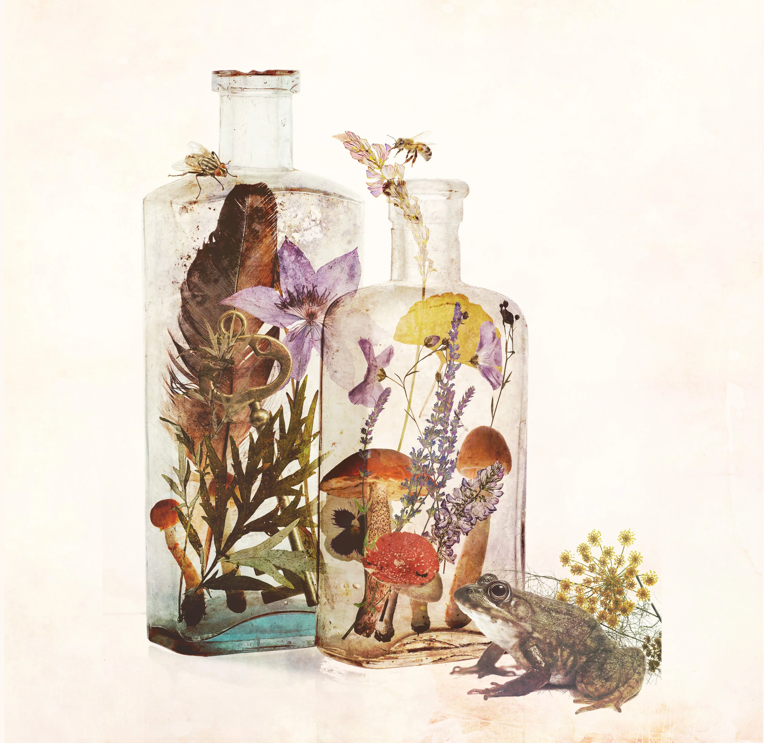 bottles_2.jpg