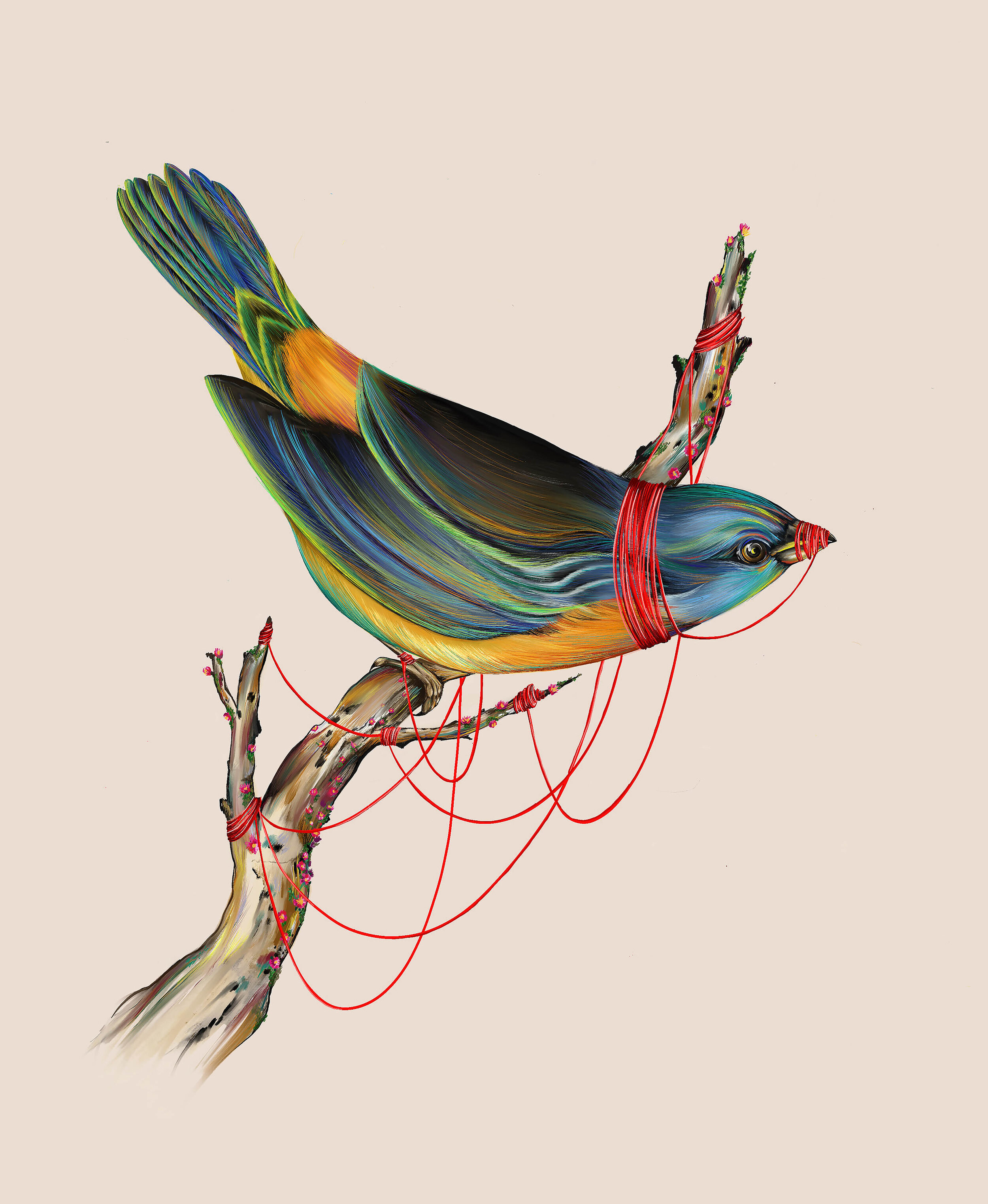 BIRDS THE WORD.jpg