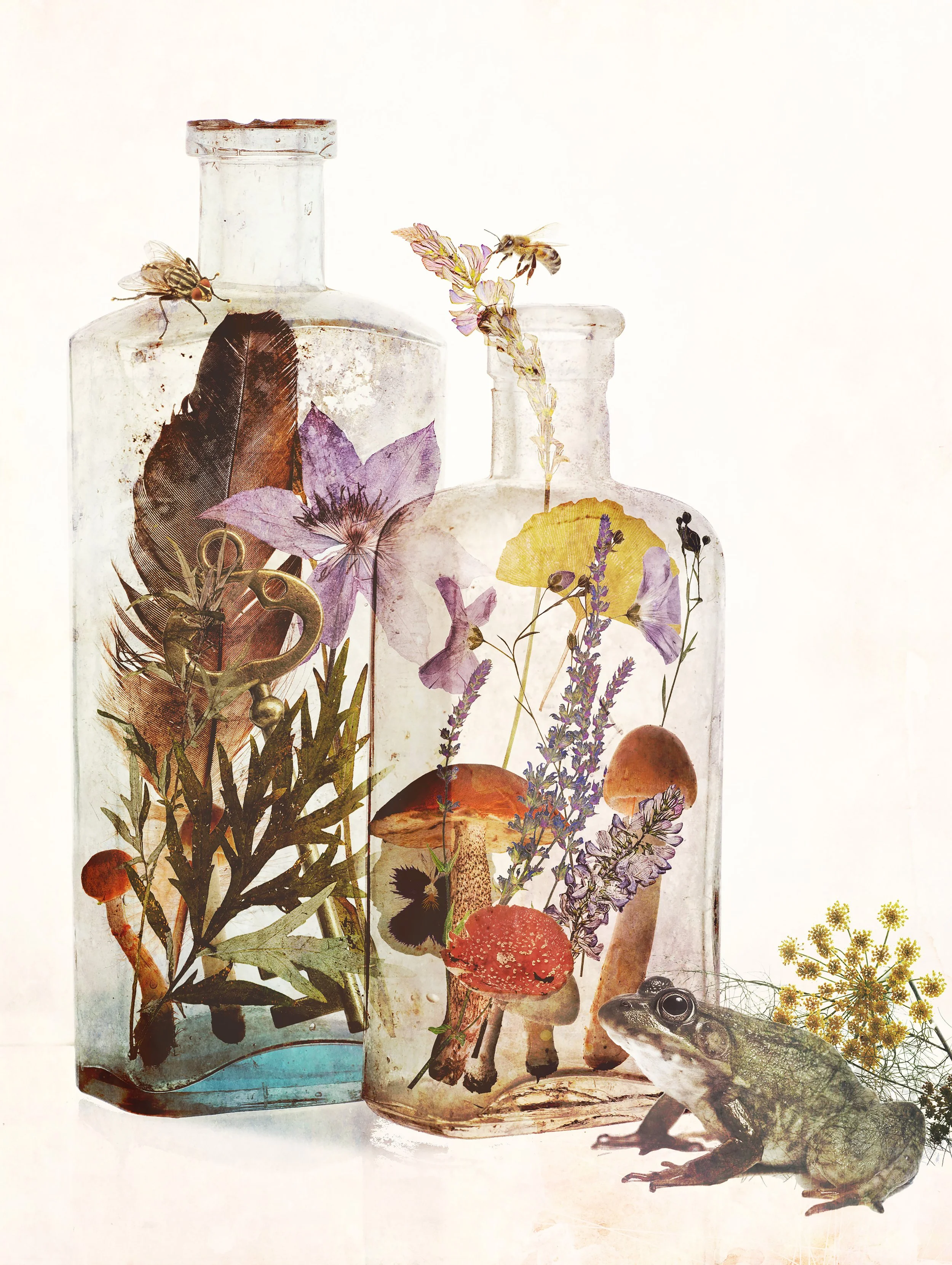 bottles.jpg
