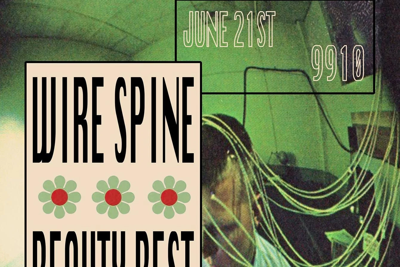 Wire Spine w/ Beauty Rest & Visitor