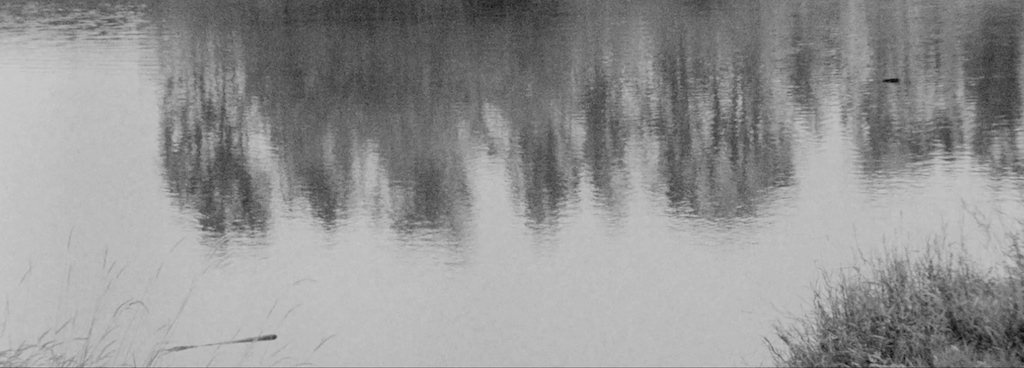 271film_03.jpeg
