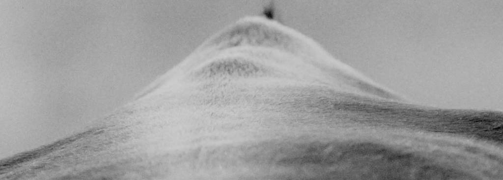 271film_05.jpeg