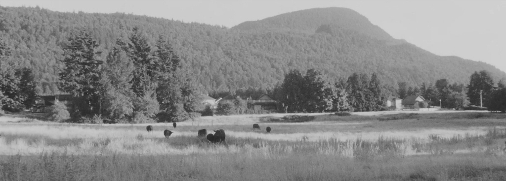 271film_06.jpeg