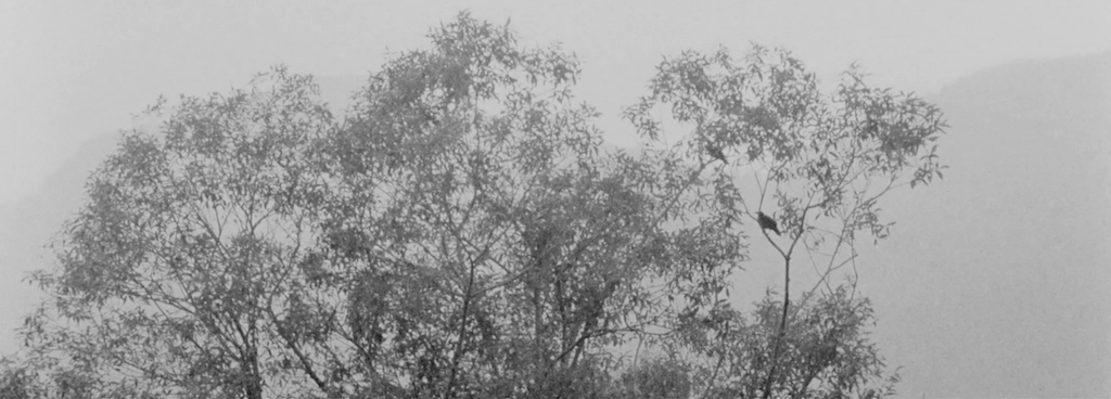 271film_07.jpeg