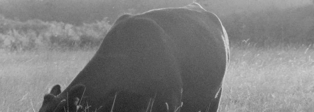 271film_08.jpeg