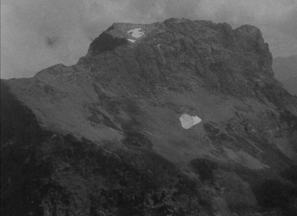 137film_01.jpeg