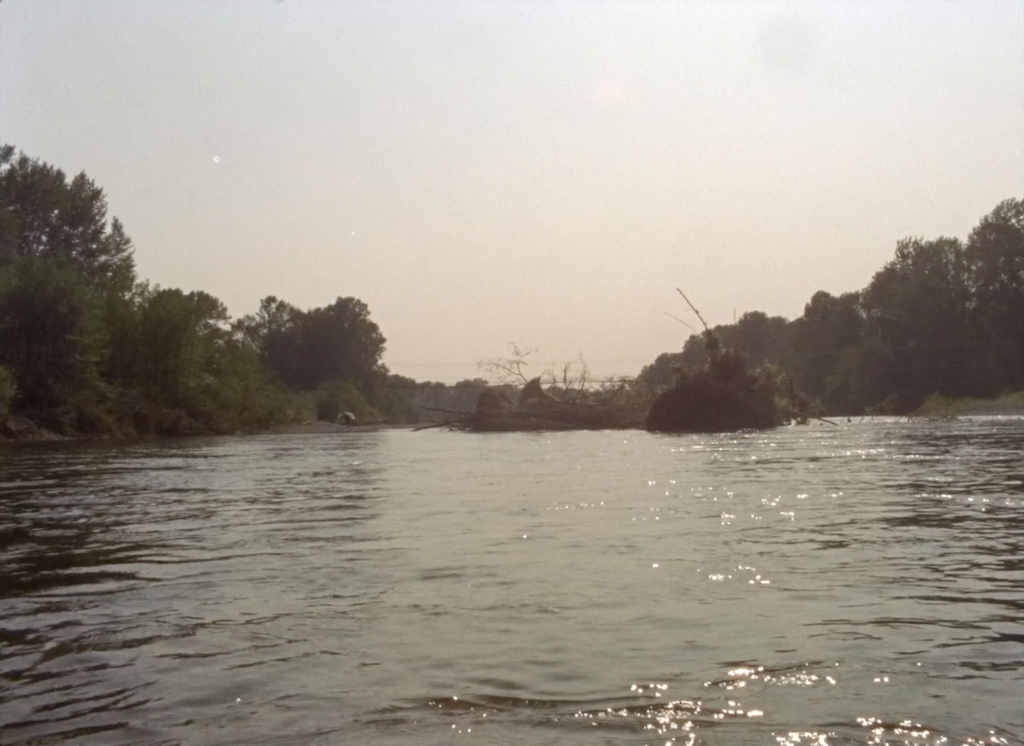 137film_08.jpeg