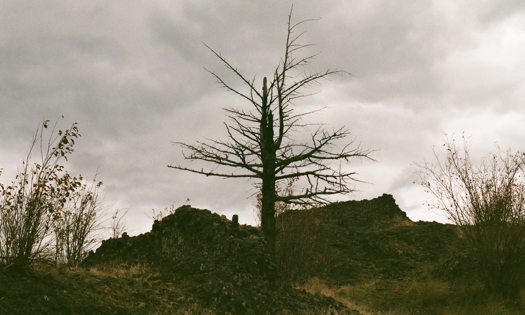 boucherieproject_still01.jpeg