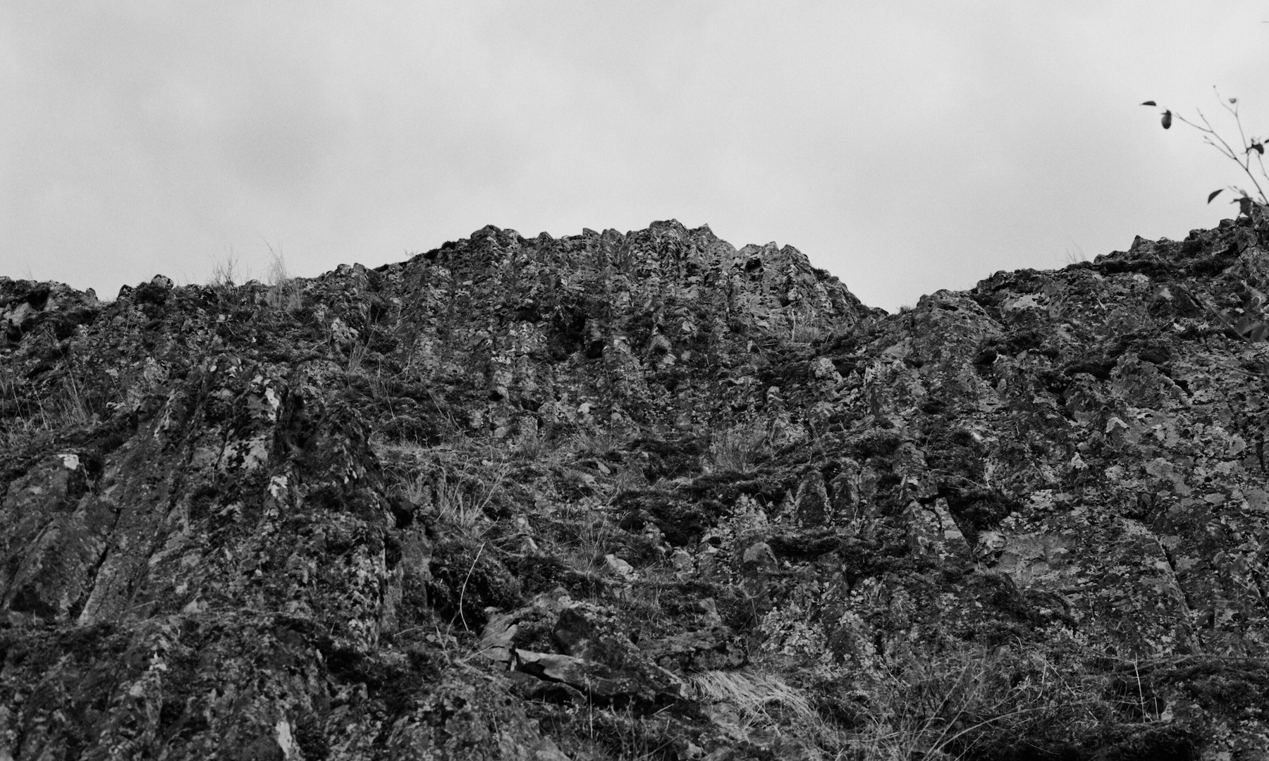 boucherieproject_still05.jpeg