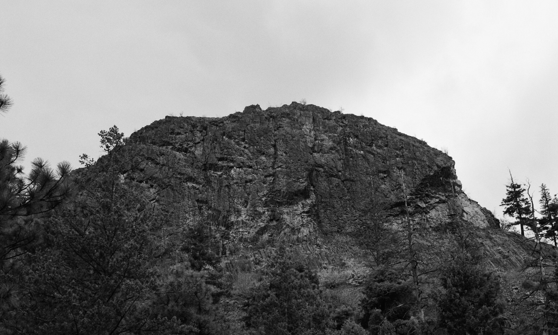 boucherieproject_still07.jpeg