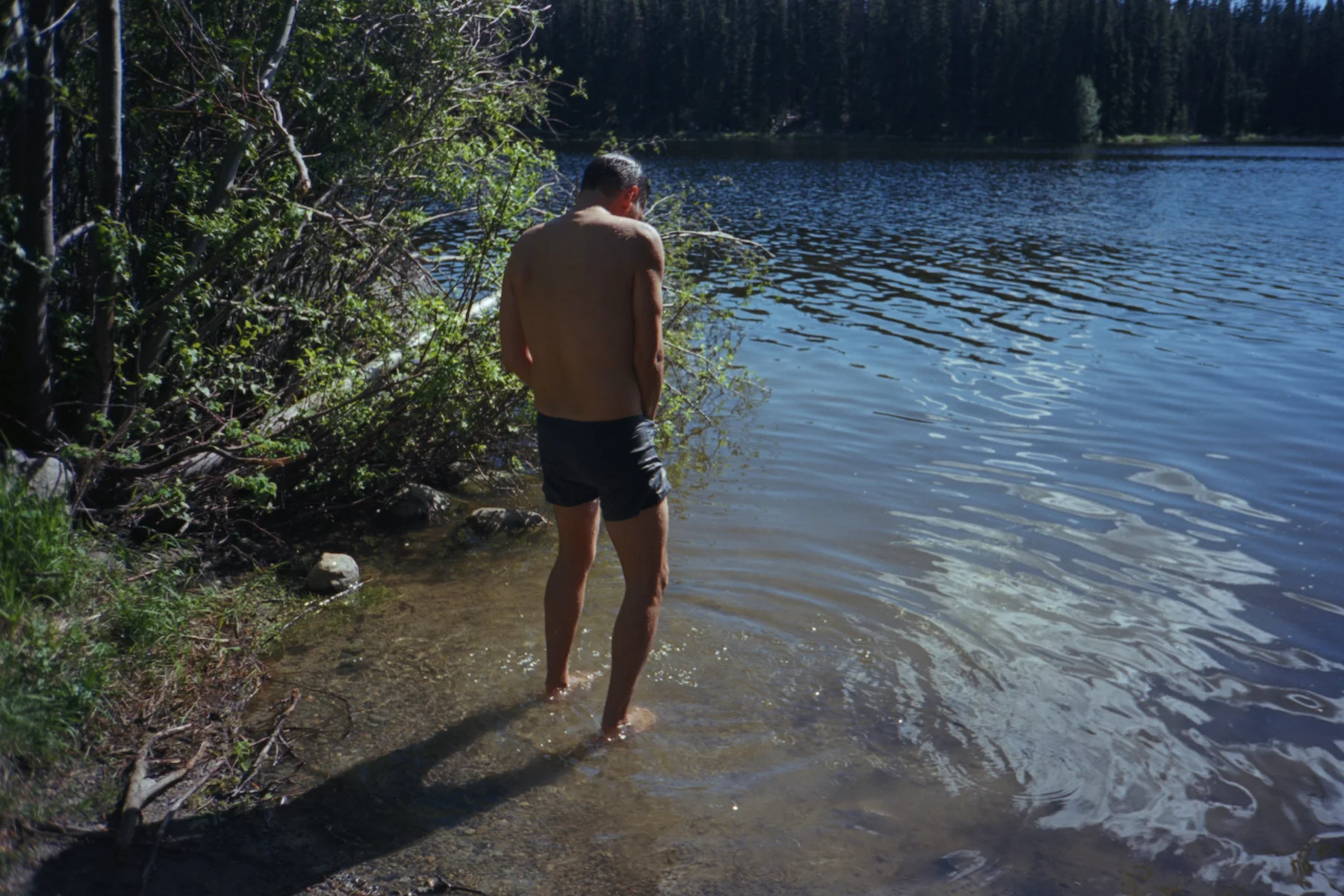 2016stag08.jpg