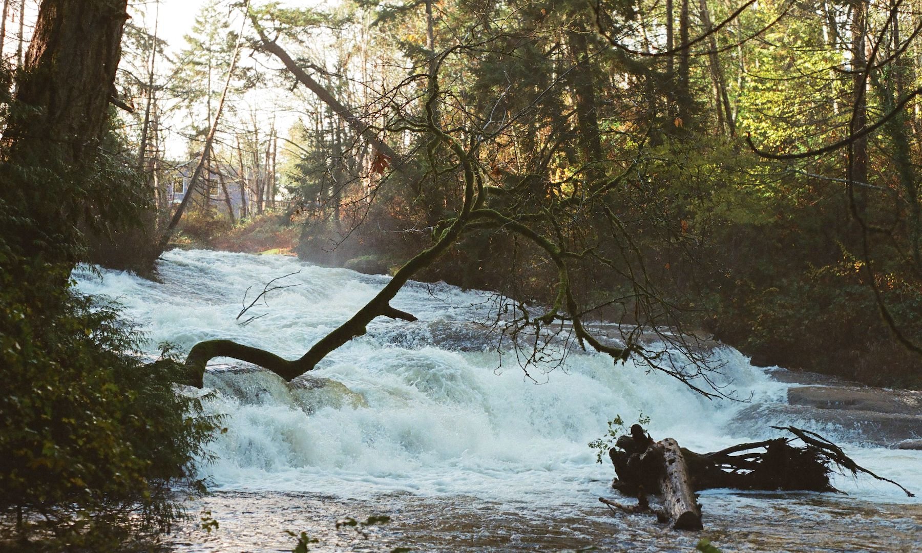 curtisgrahauer_millstone_202111_05.jpg