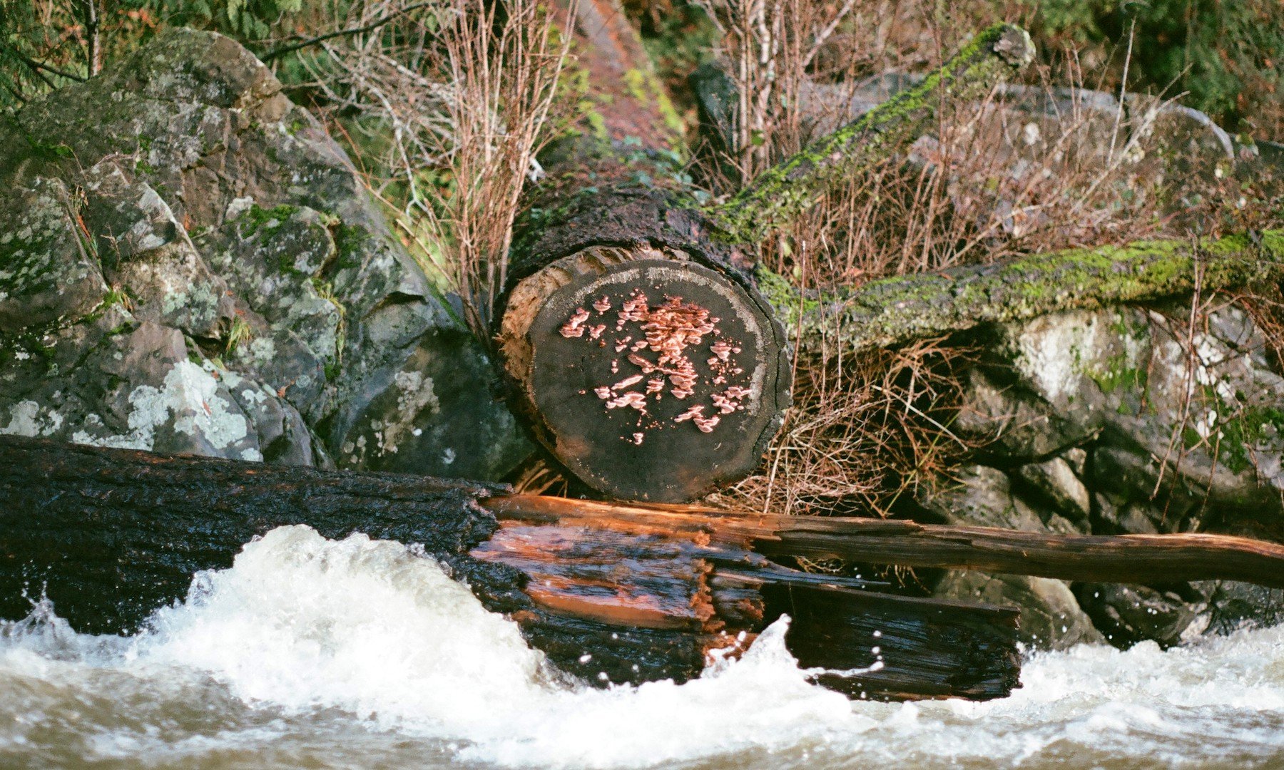 curtisgrahauer_millstone_202112_07.jpg