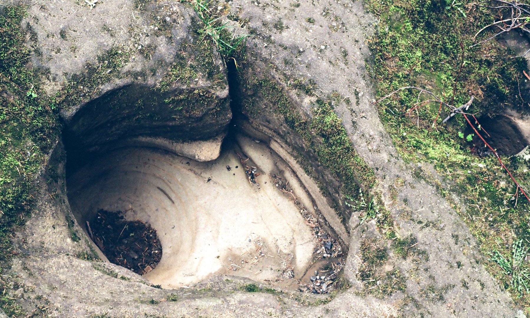 millstone_photoresearch_april2_nature_02.jpeg