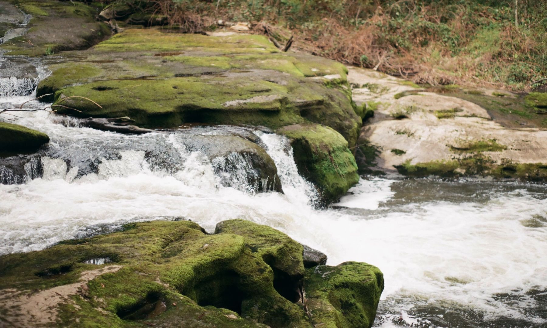 millstone_photoresearch_april2_nature_08.jpeg