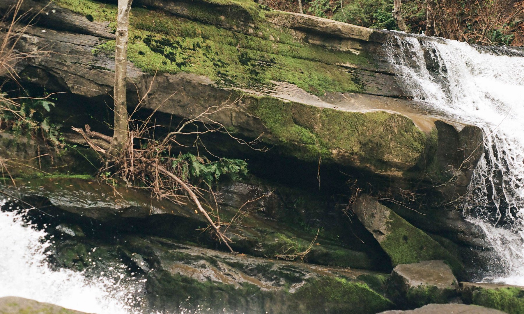 millstone_photoresearch_april2_nature_07.jpeg