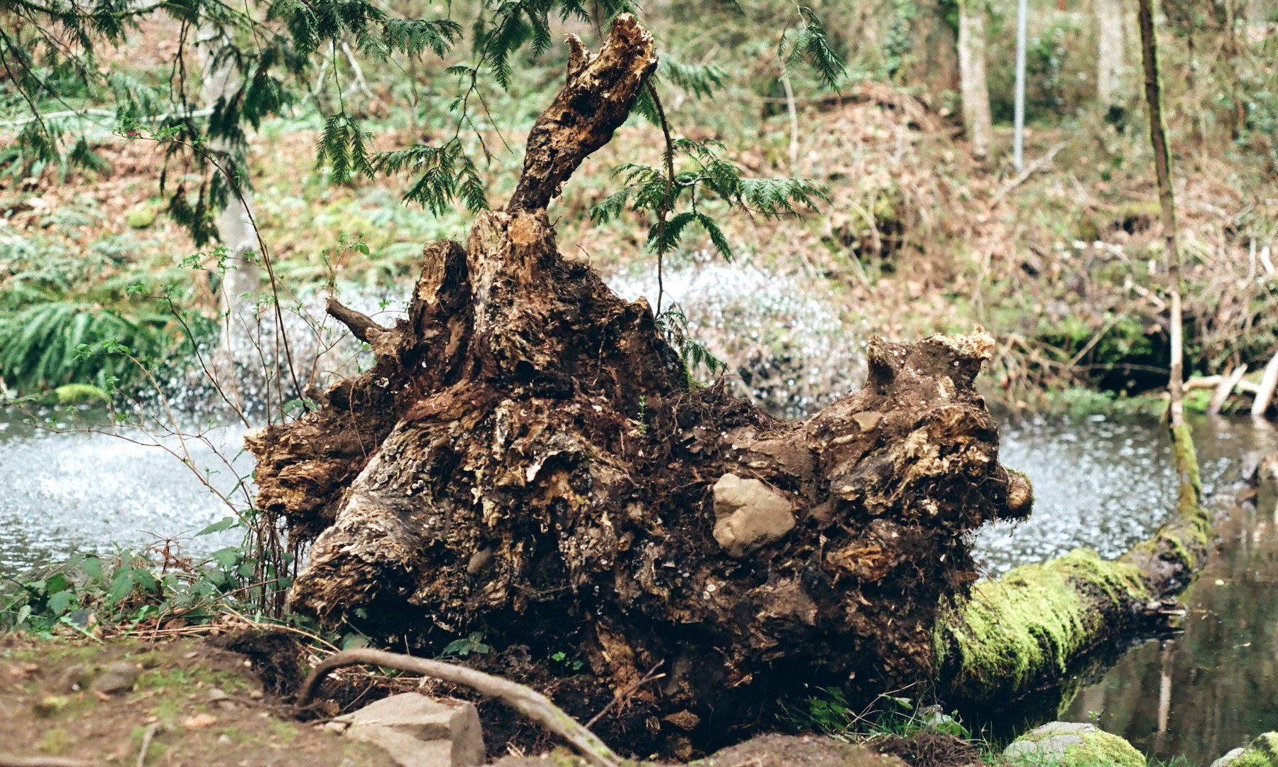 millstone_photoresearch_april2_nature_09.jpeg