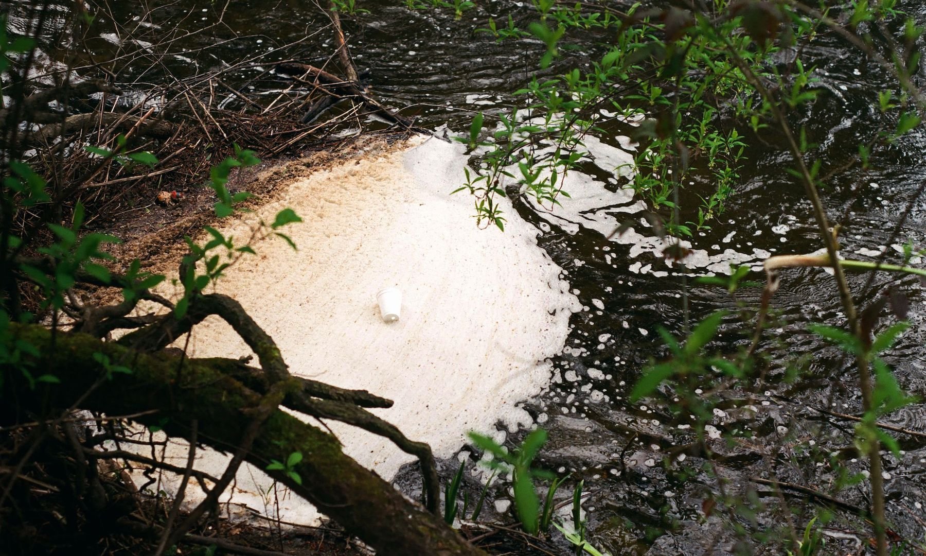 millstone_photoresearch_april2_nature_12.jpeg