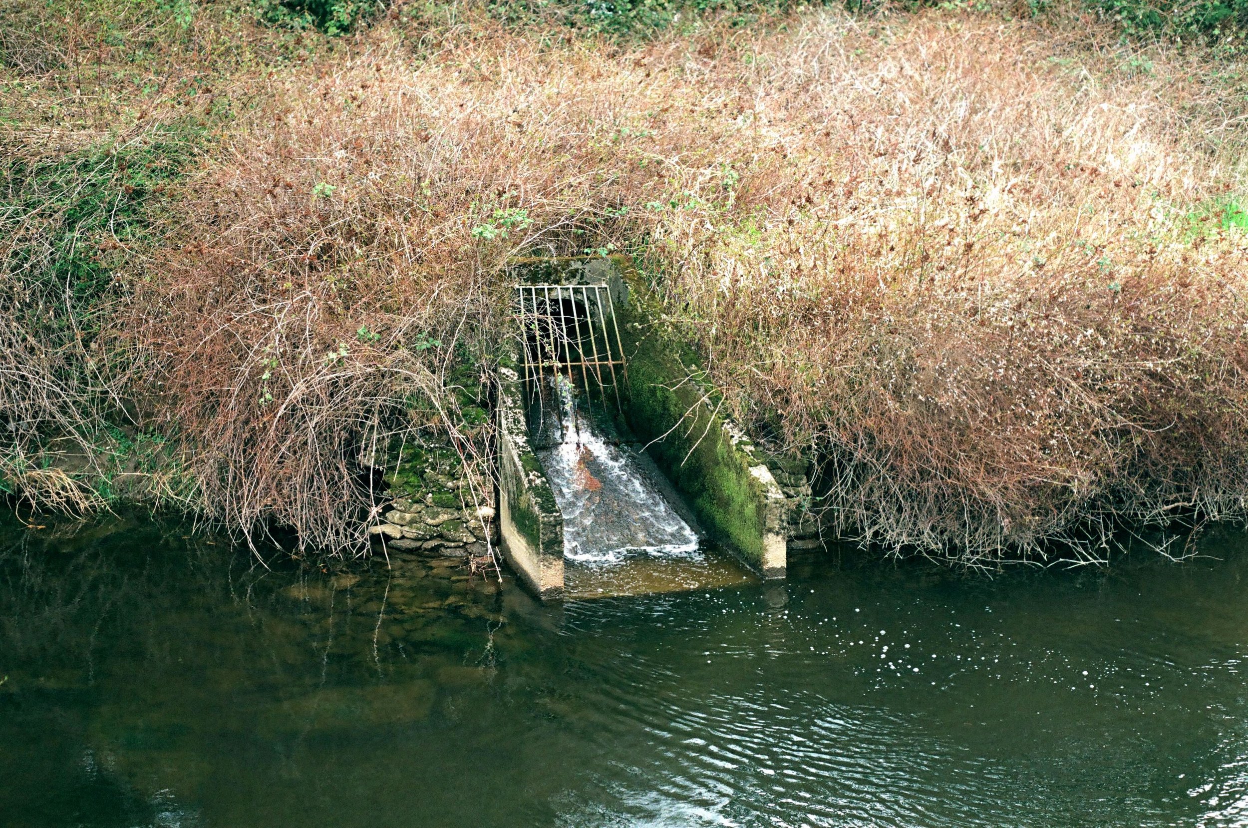 millstone_photoresearch_april2_nature_14.jpeg